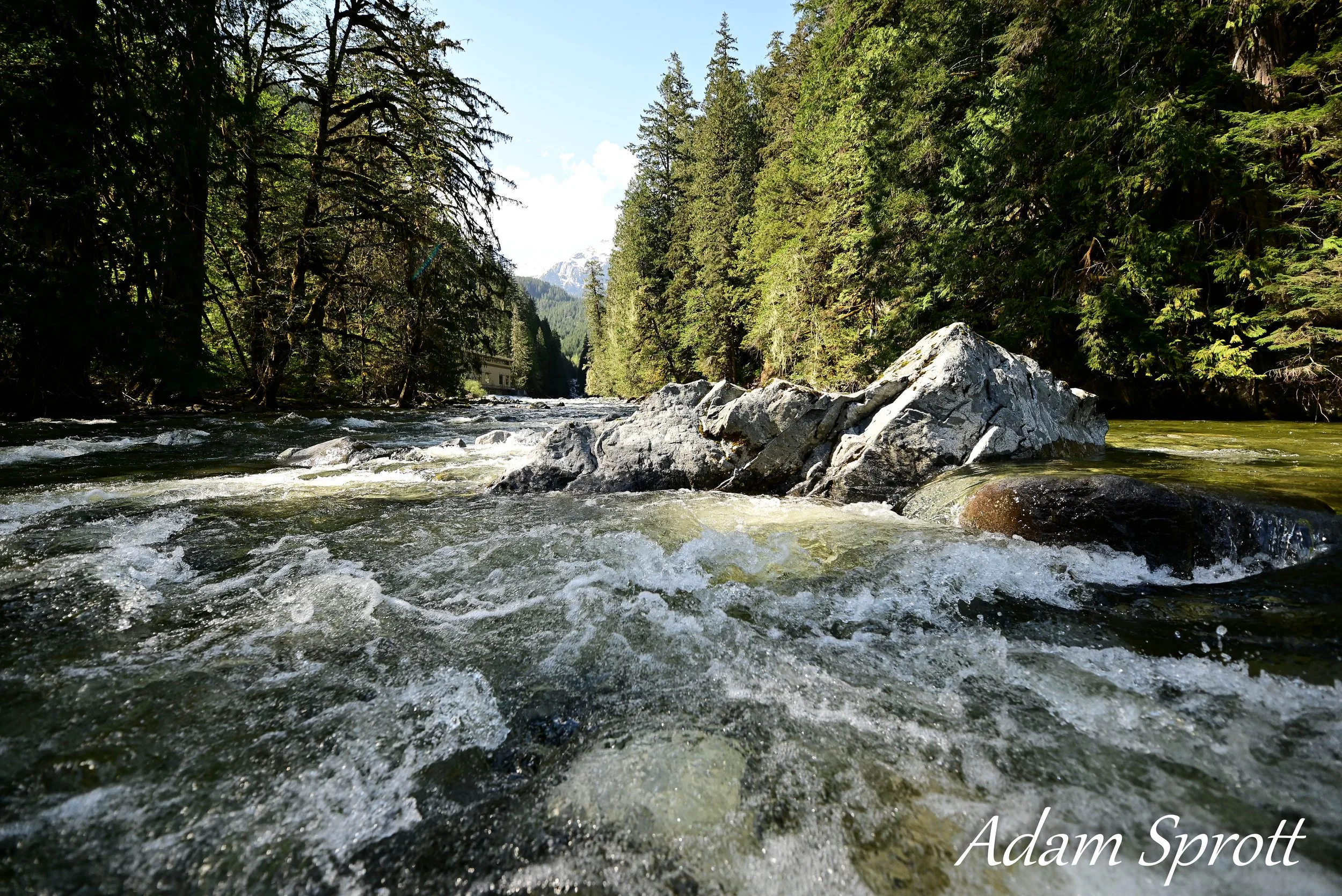DSC_0571.jpg