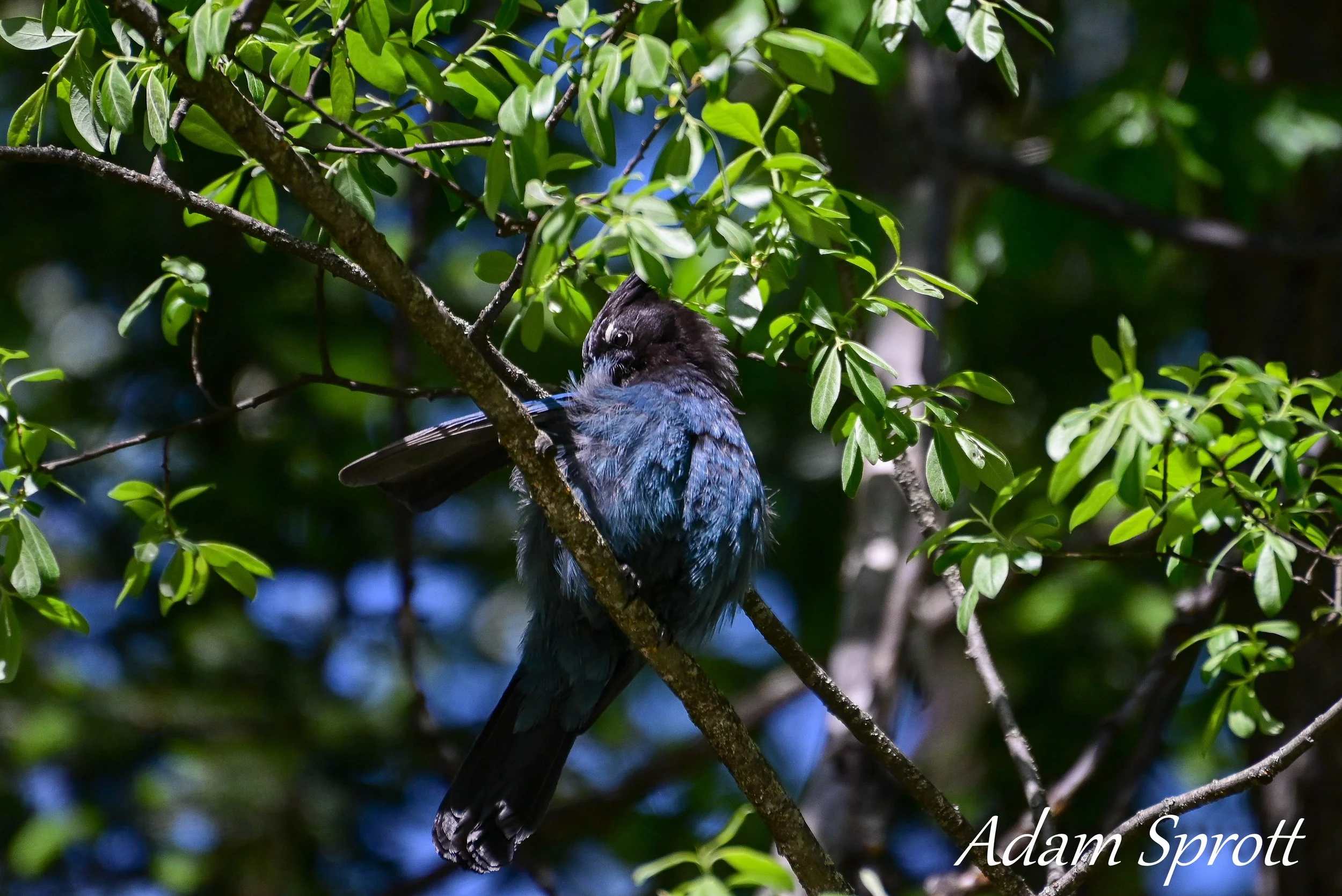 DSC_0880-2.jpg