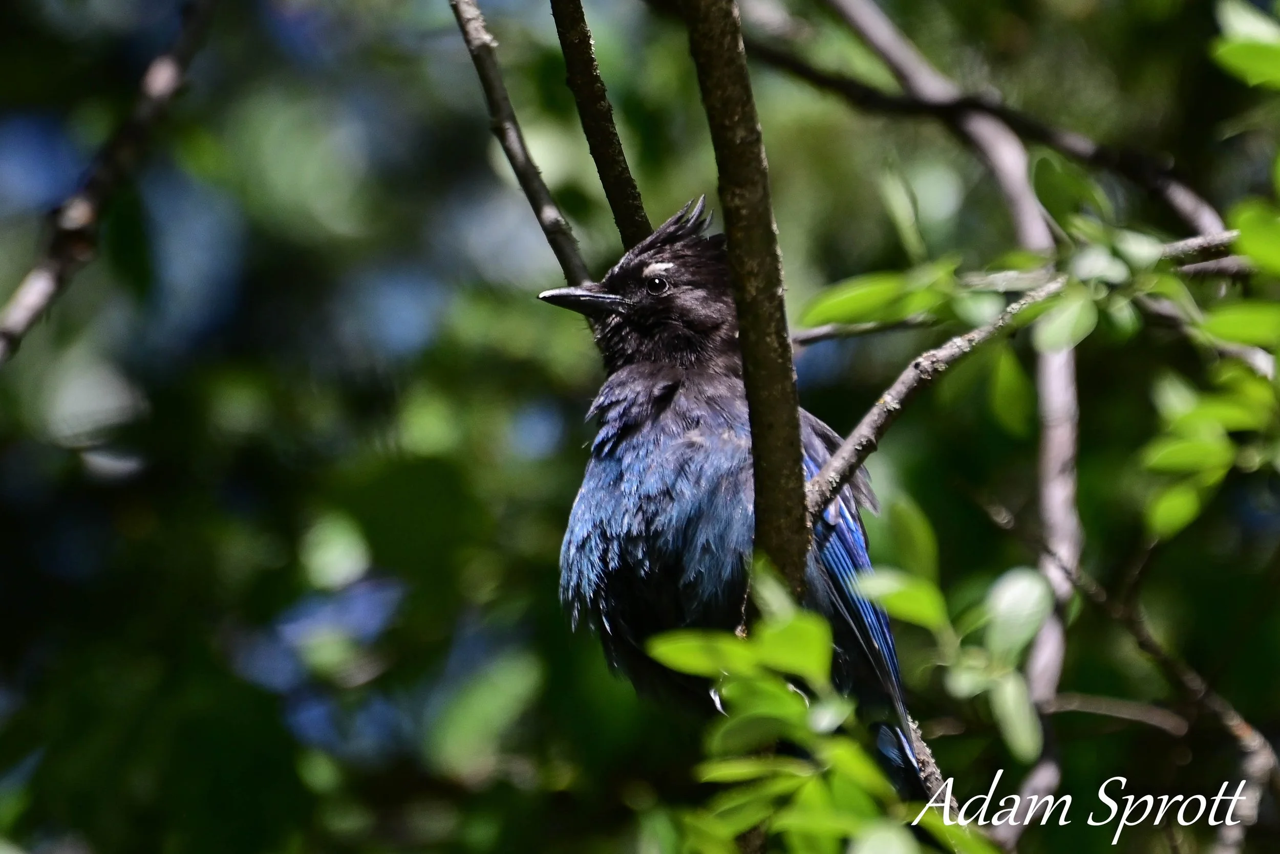 DSC_1038.jpg
