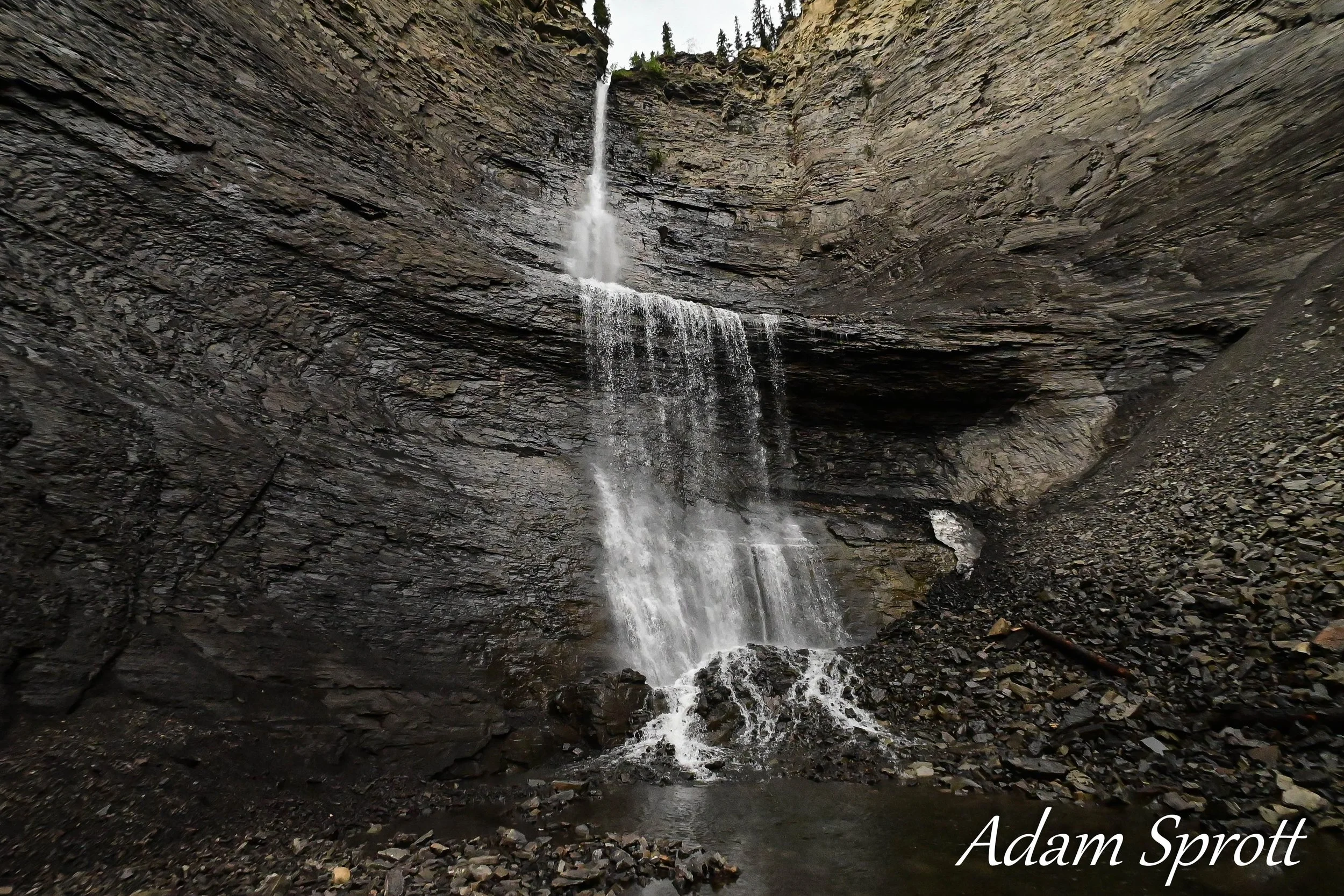 DSC_1184.jpg