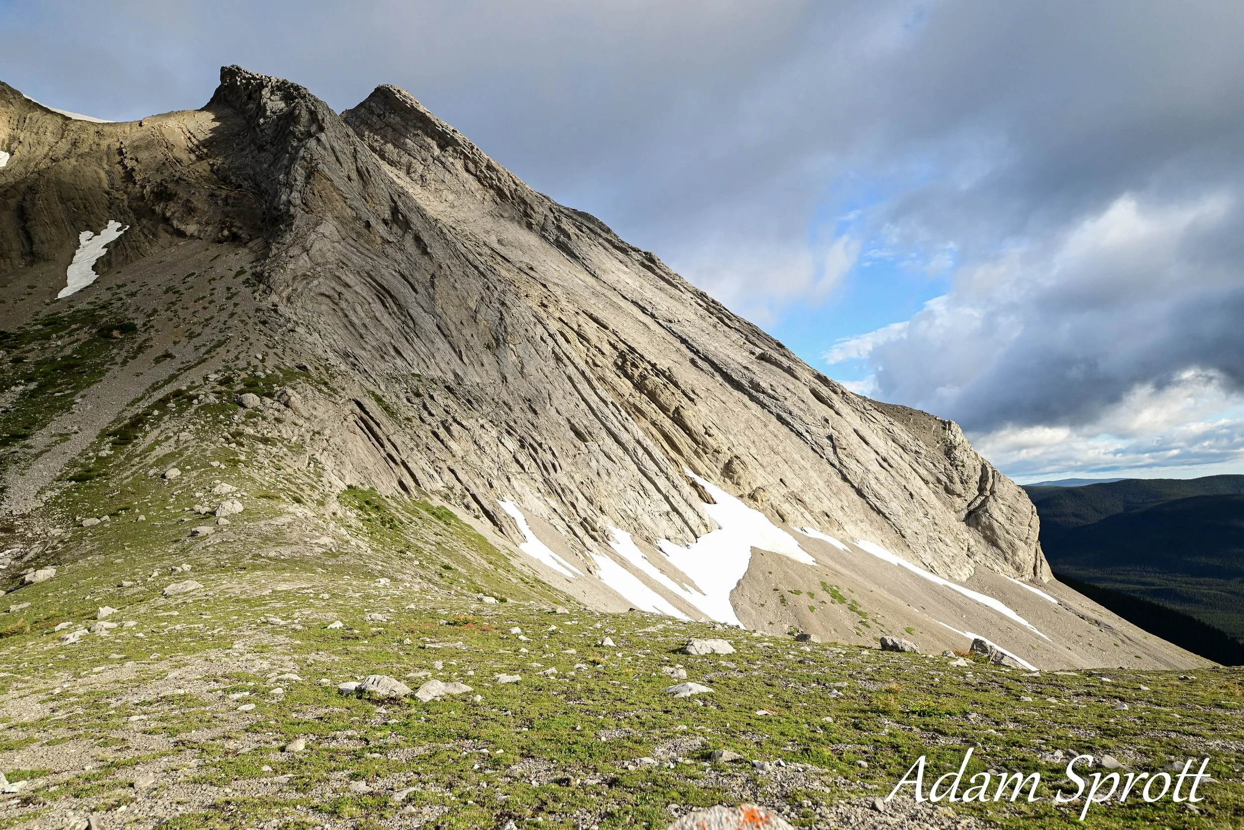 DSC_2285.jpg