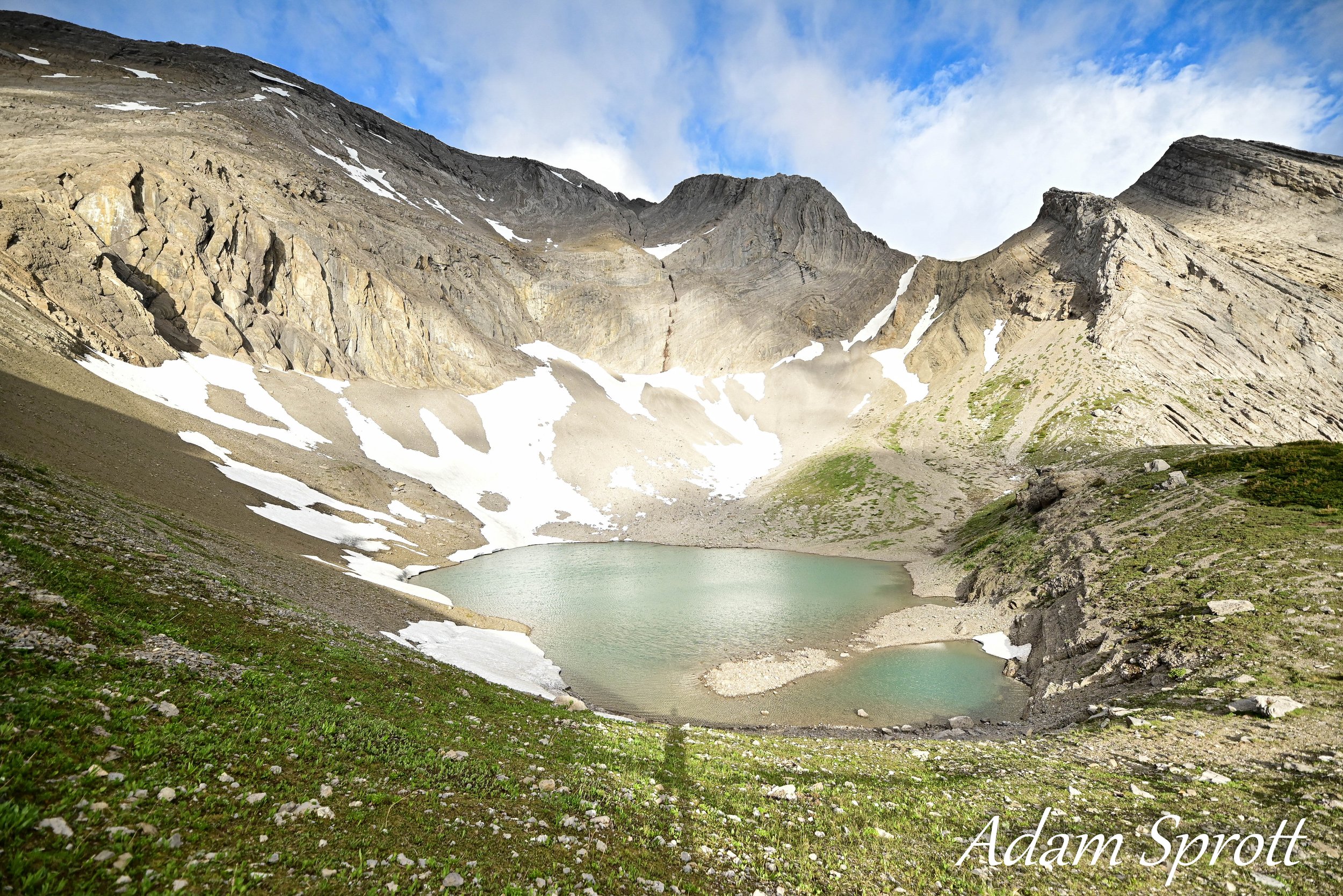 DSC_2334.jpg
