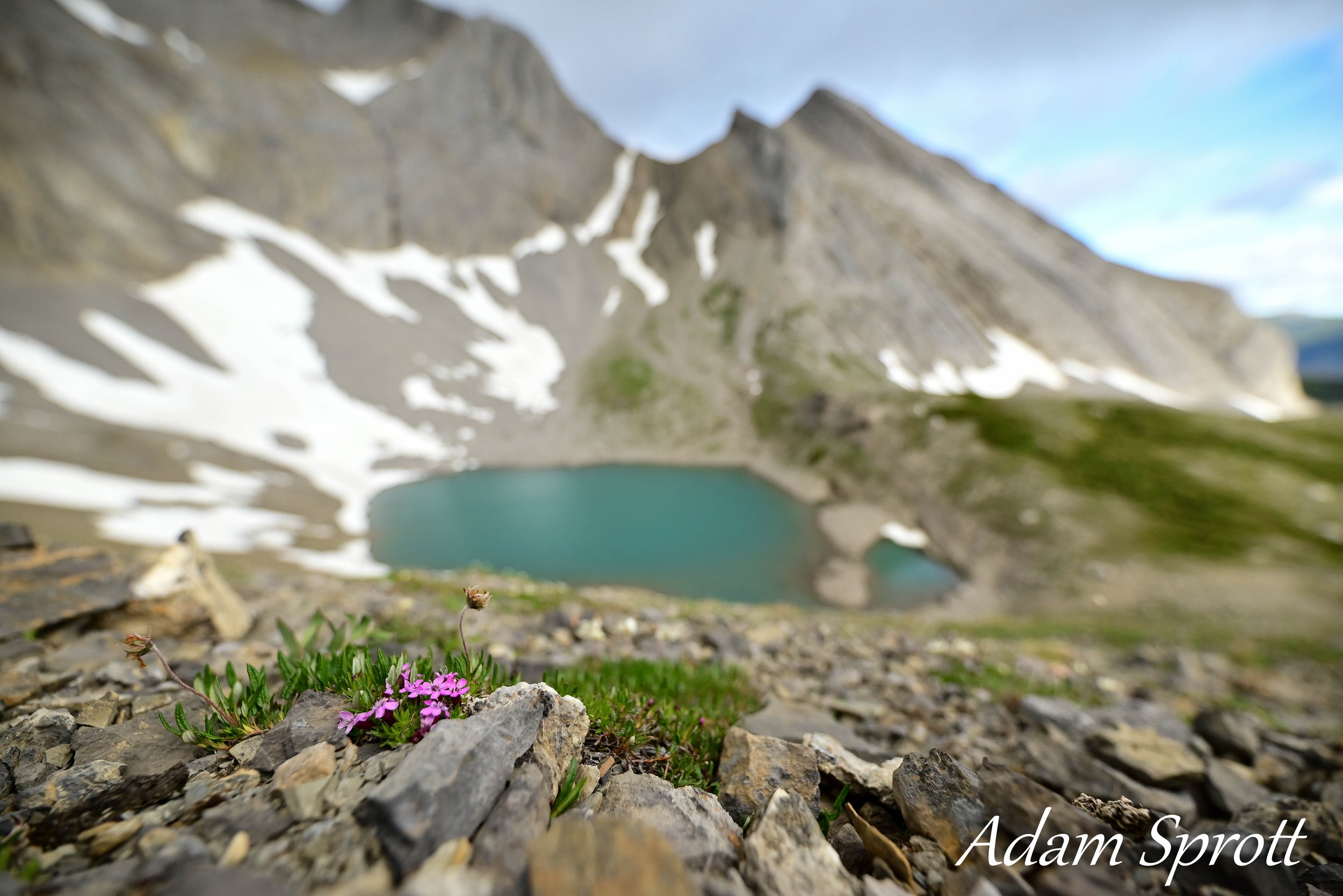 DSC_2702.jpg
