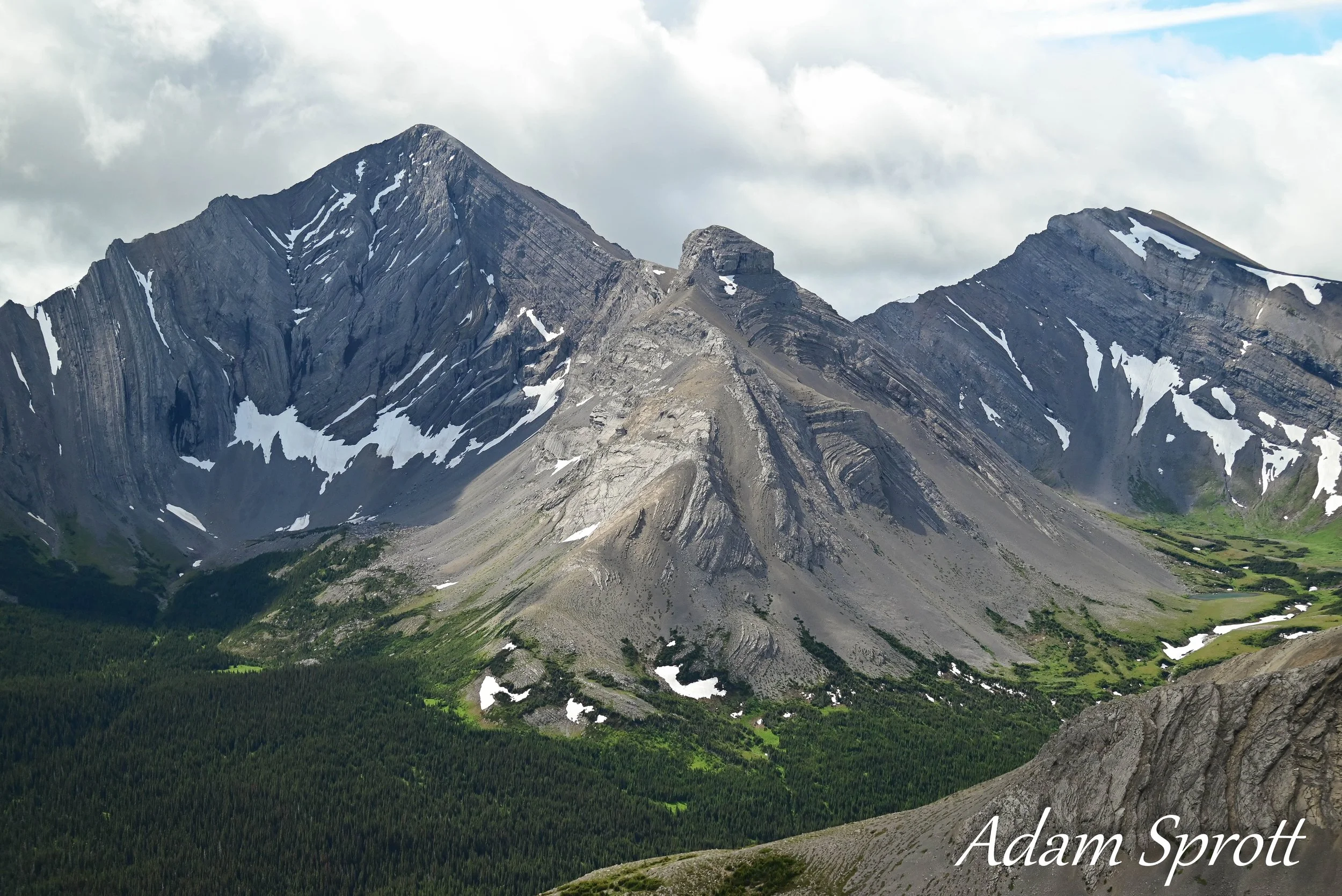 DSC_2952.jpg