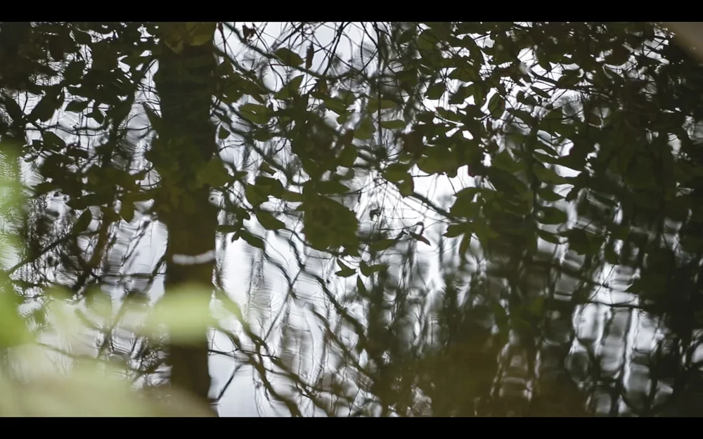 Screen Shot 2017-05-08 at 2.03.22 PM.JPG