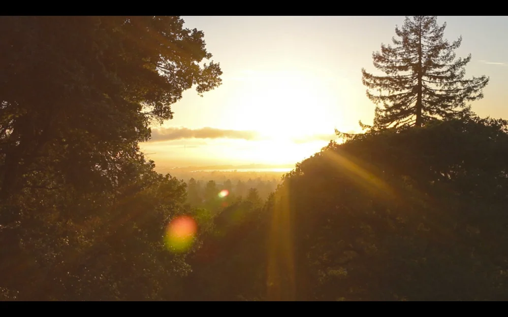 Screen Shot 2017-05-08 at 2.04.24 PM.JPG