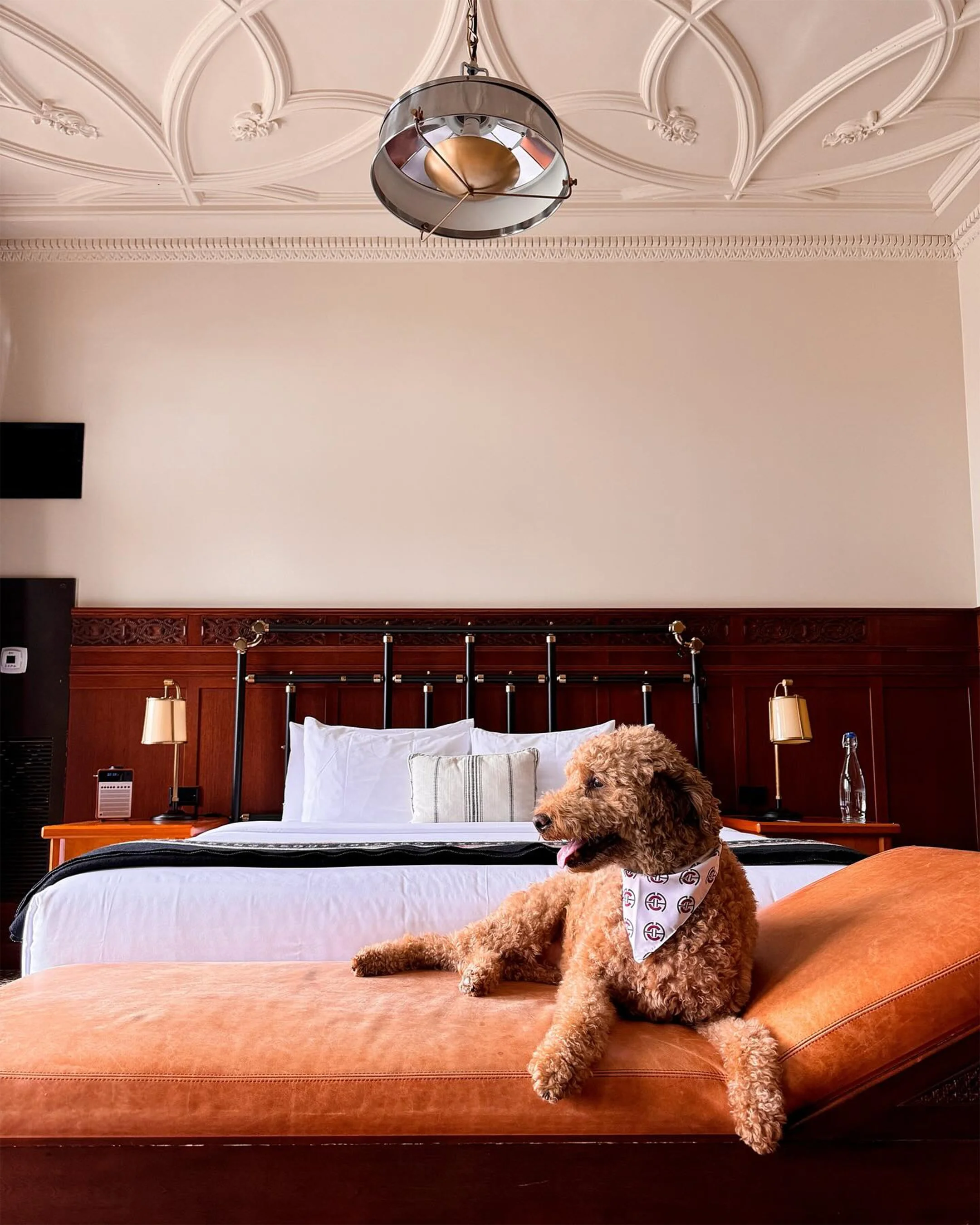 Most Valuable Pet Bandana