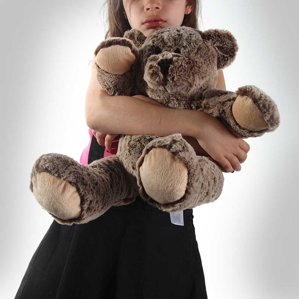 STC_products_V1_teddy.png