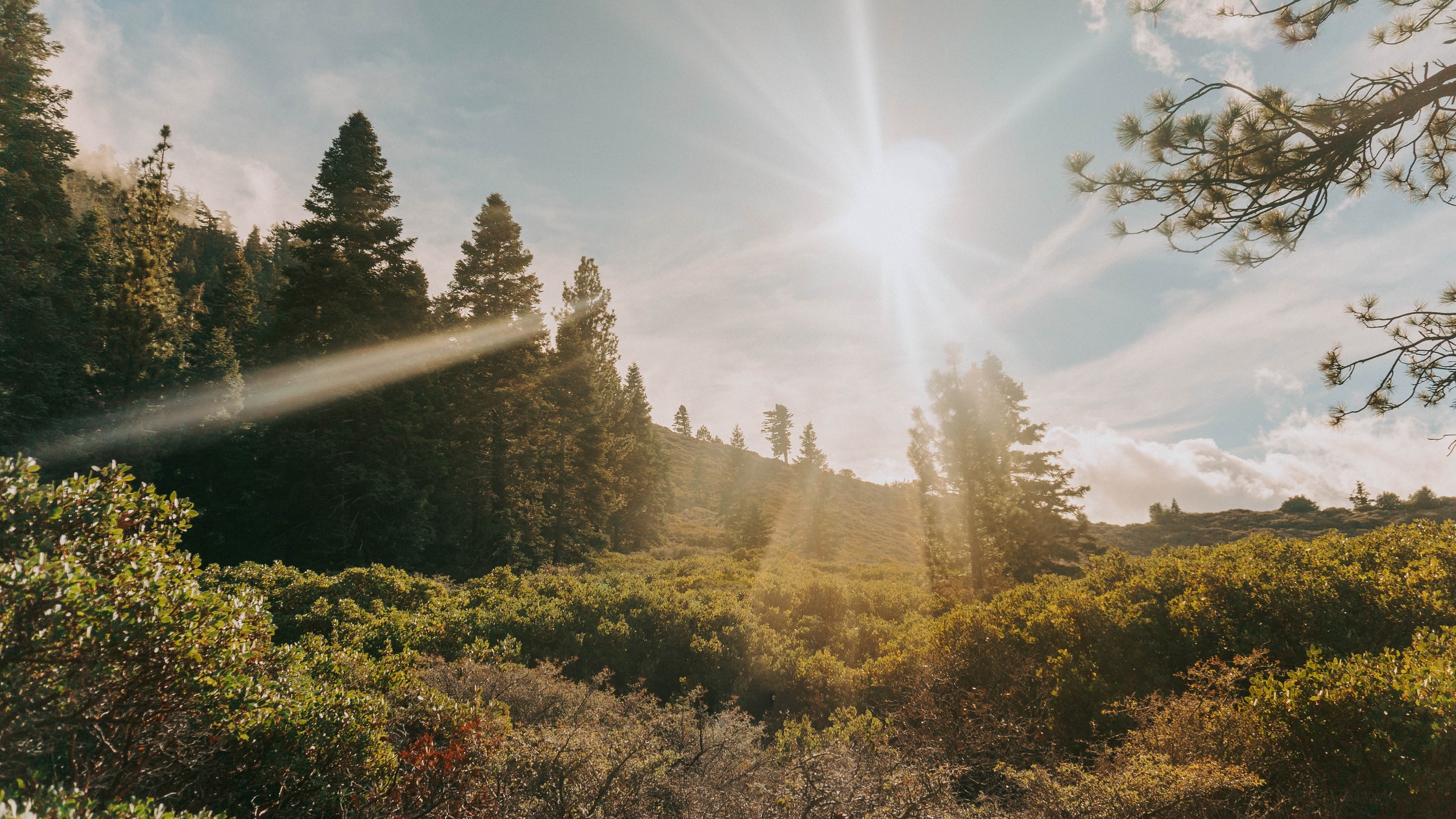 Happy Thanksgiving, Highland!