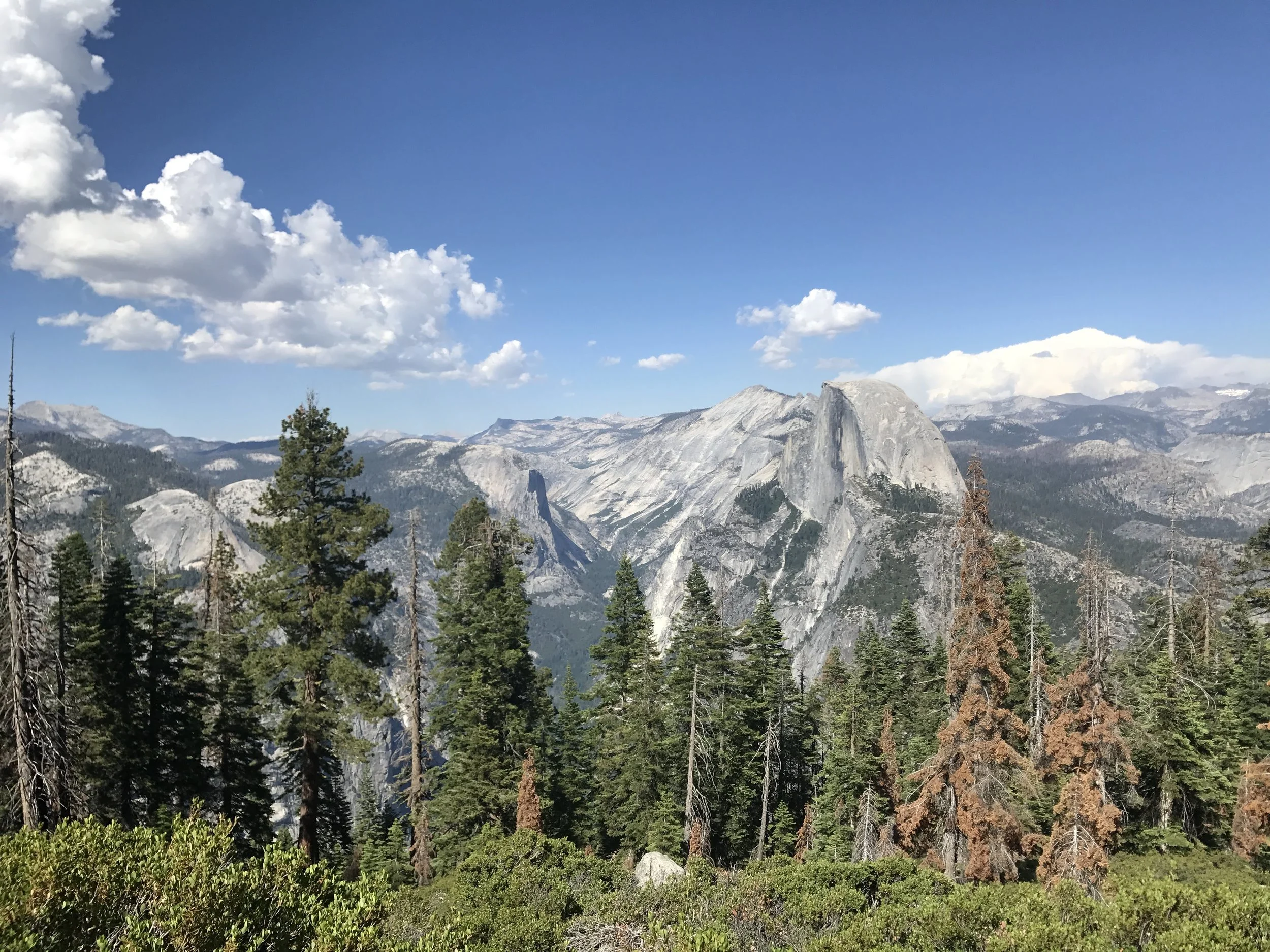 Half Dome from the South Rim