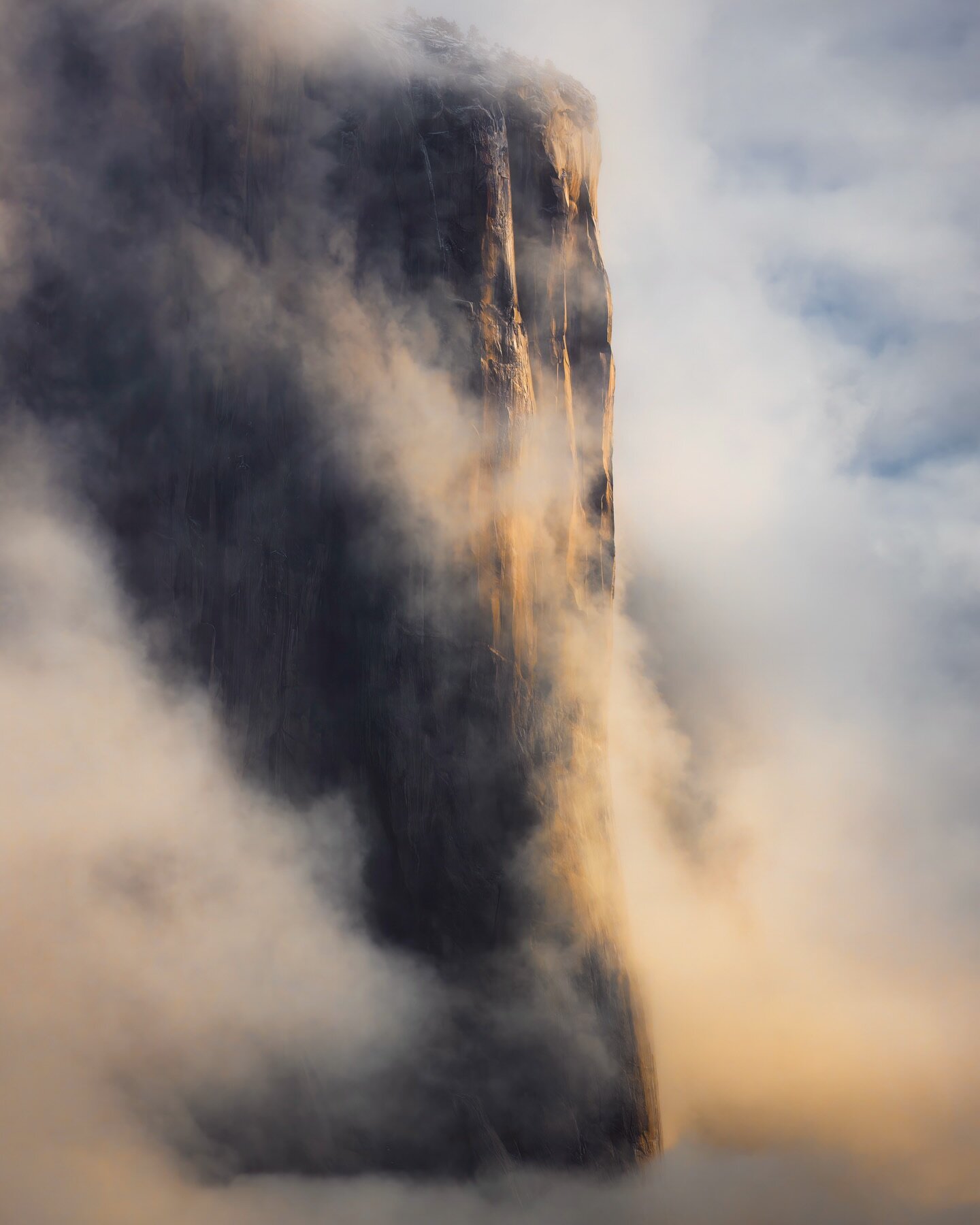 THURSDAY 2/8/24 

#photo #naturephotography #photography #photooftheday #yosemite #elcapitan #foggy #winter