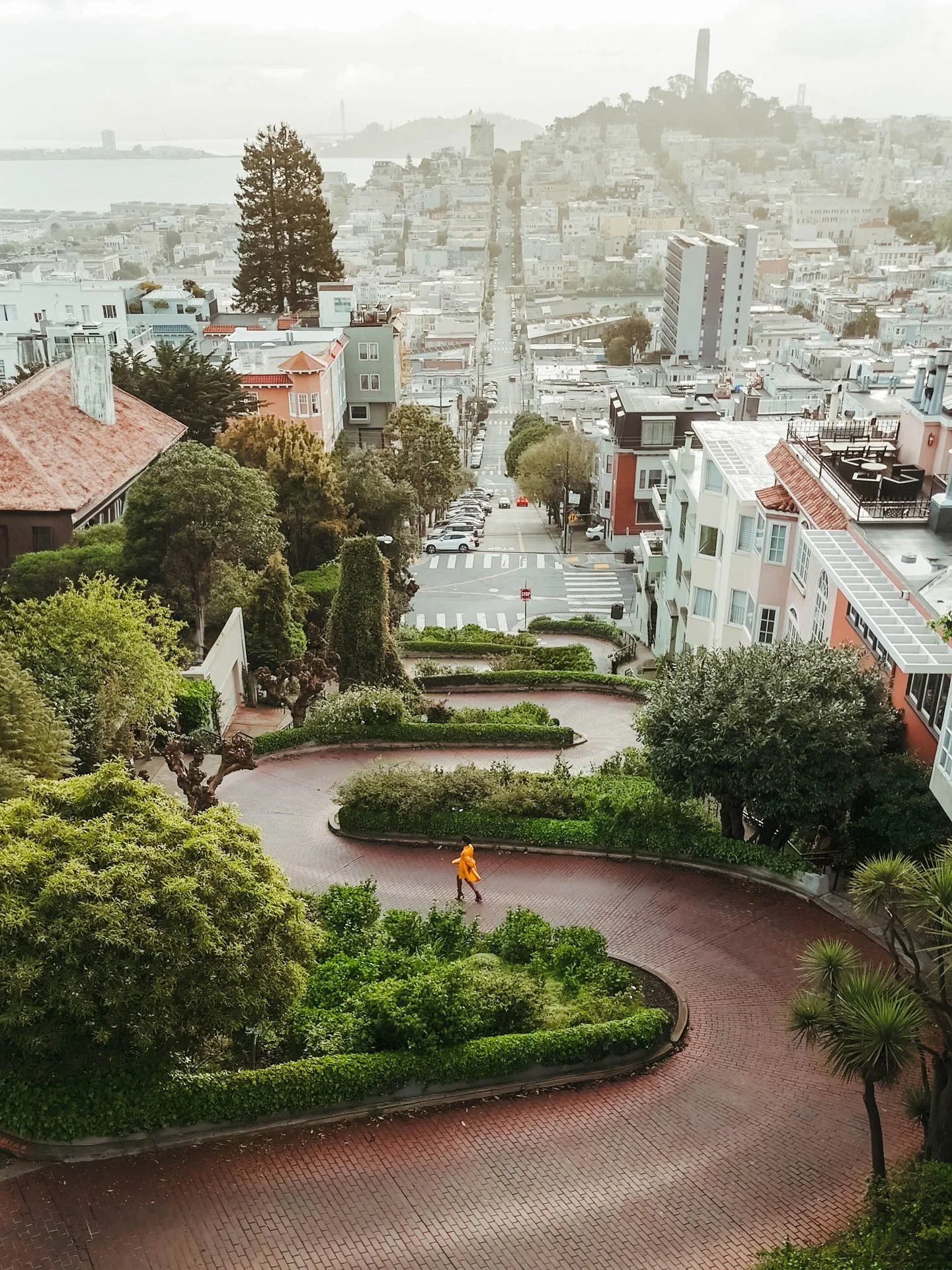 Lombard Street never gets old.✨ One of those spots that reminds you just how wild and beautiful San Francisco really is. 🌁 #SanFranciscoViews #LombardStreet #CityMoments #CapturedByFrontside