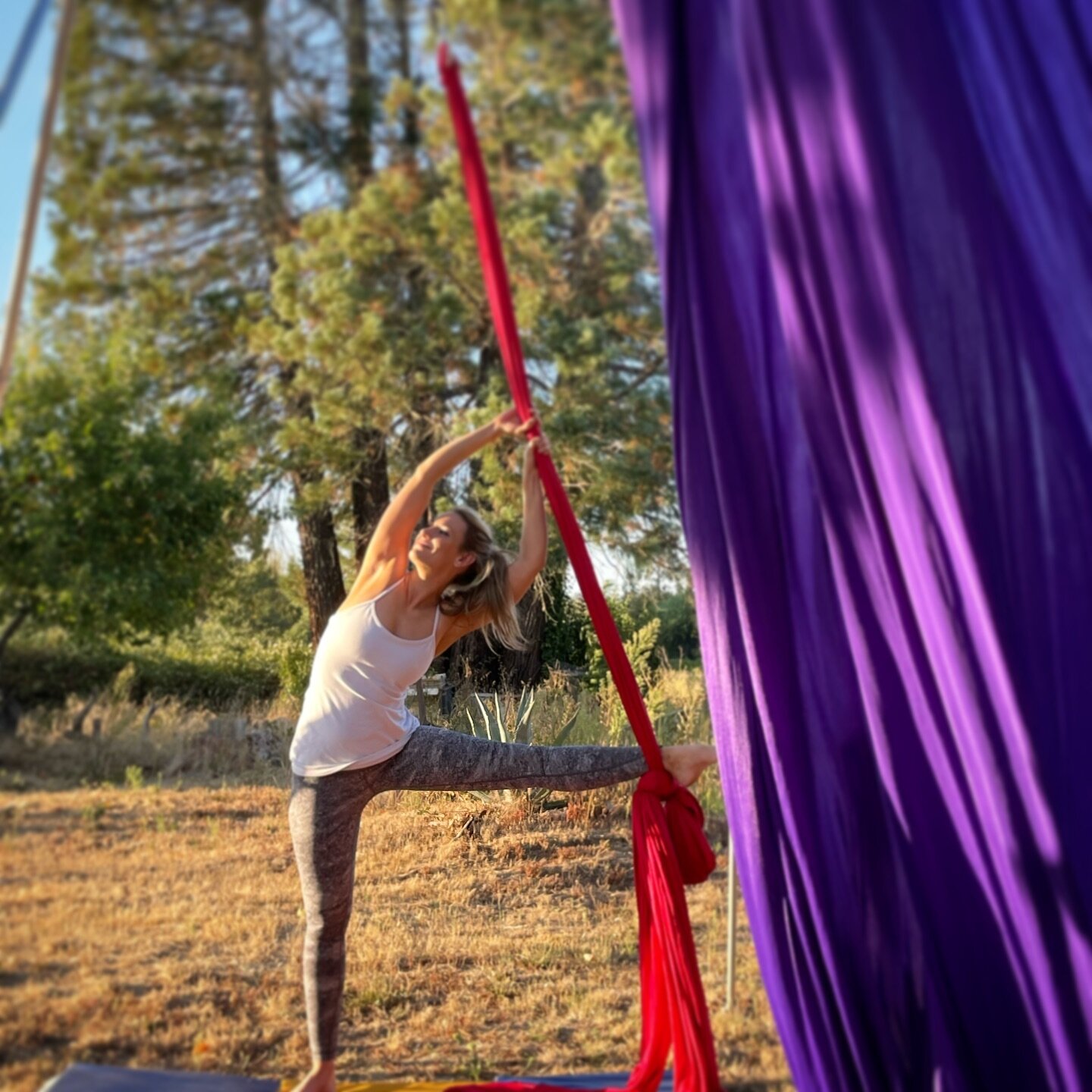 Deliberating on taking your first aerial class?!

I have worked with new students for over seven years and enjoy finding what *works* for each client!
No one arrives with the same background, ability or skill level, so there is never an expectation t