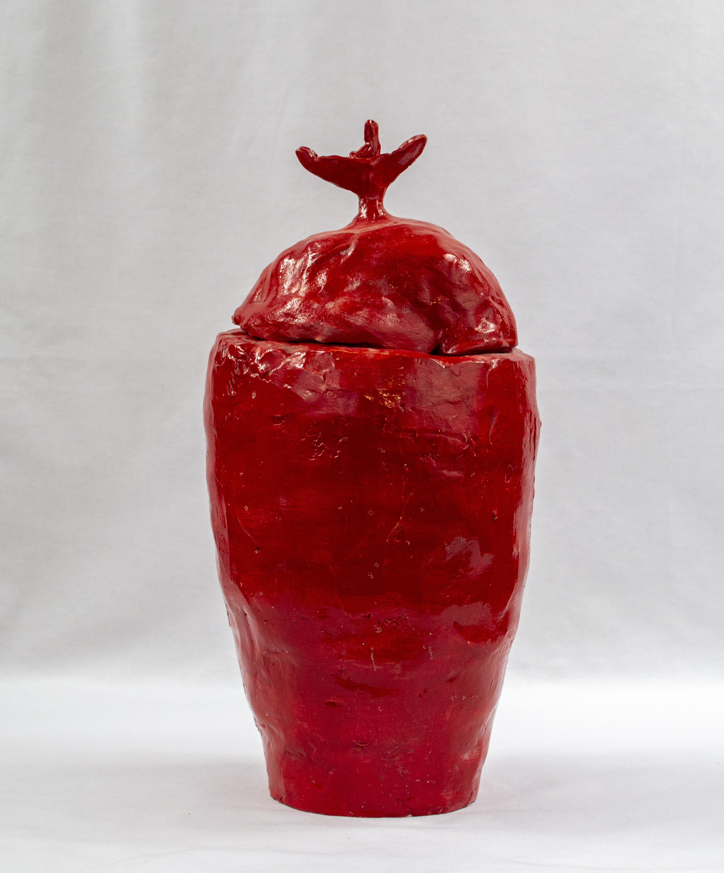 Cardinal Jar (Burial Jar to Keep Dead Things Afloat, Like Forgotten Histories)