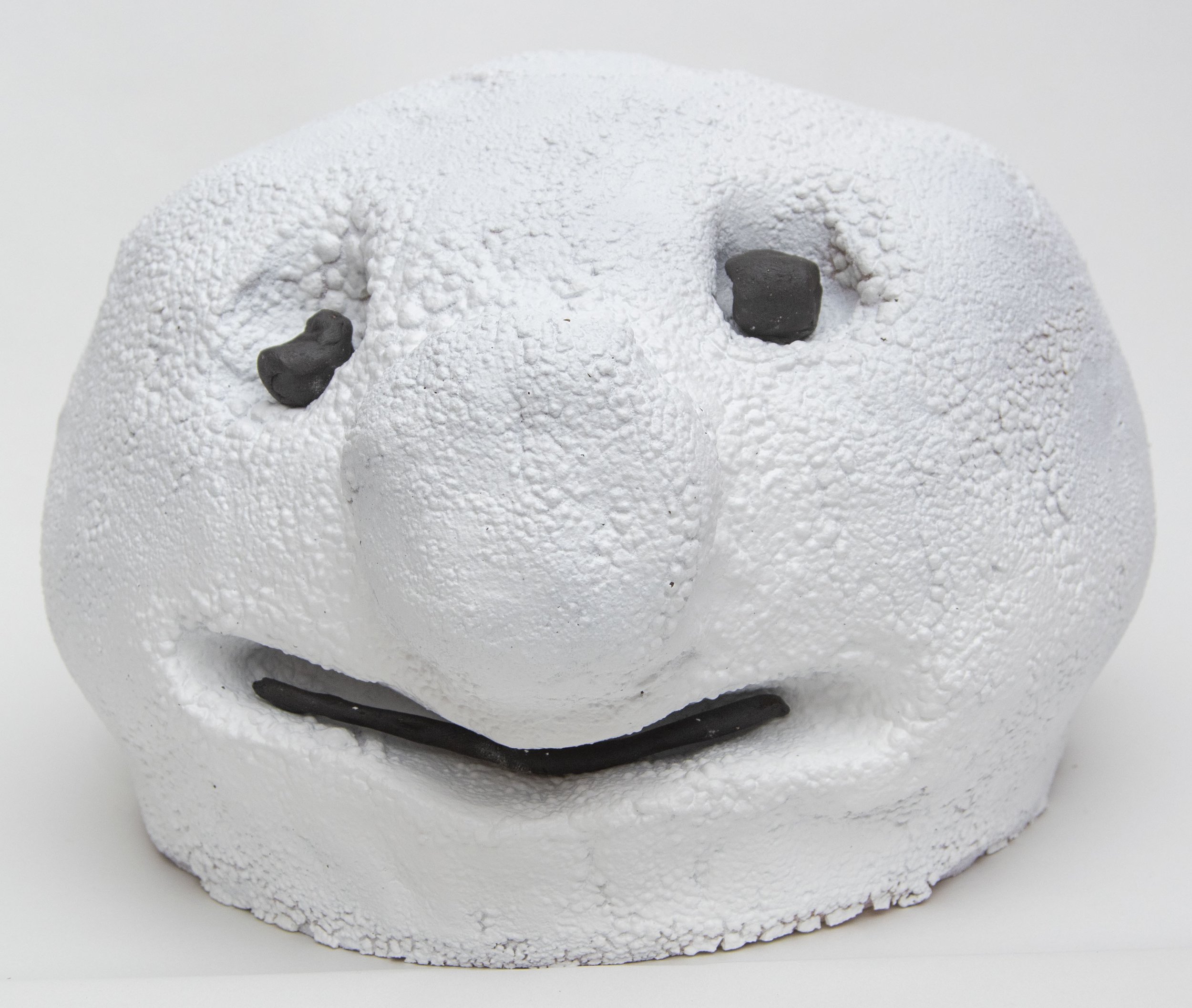 Melting Snowball from Blizaard Ball.JPG