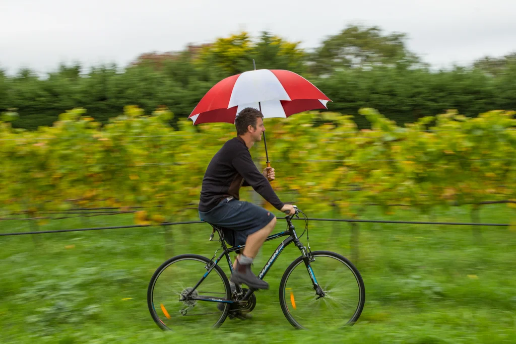 richmond plains wines.jpg