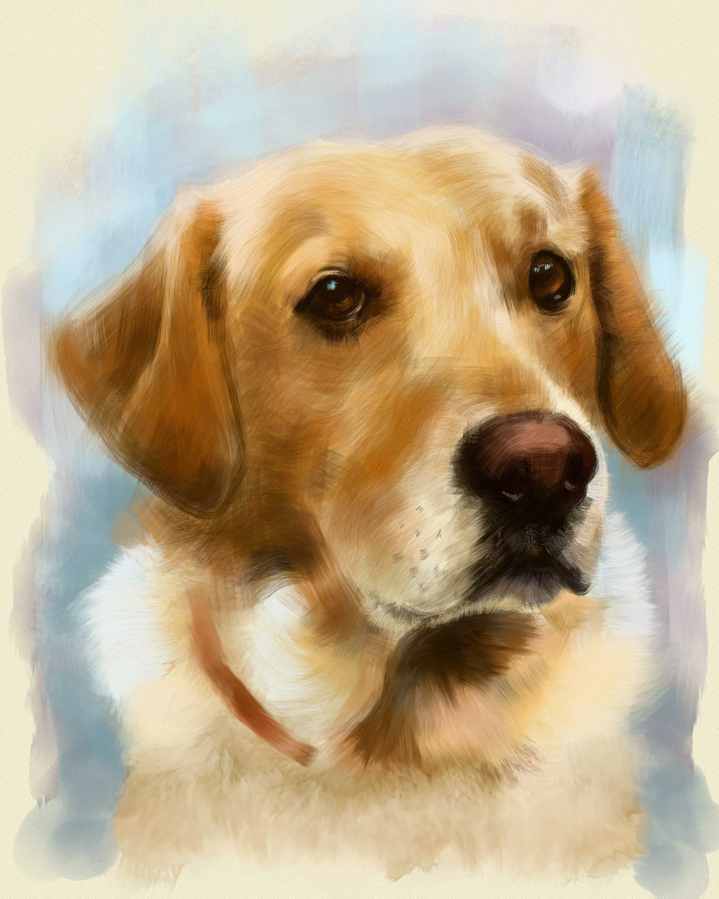 dogforbill.jpg