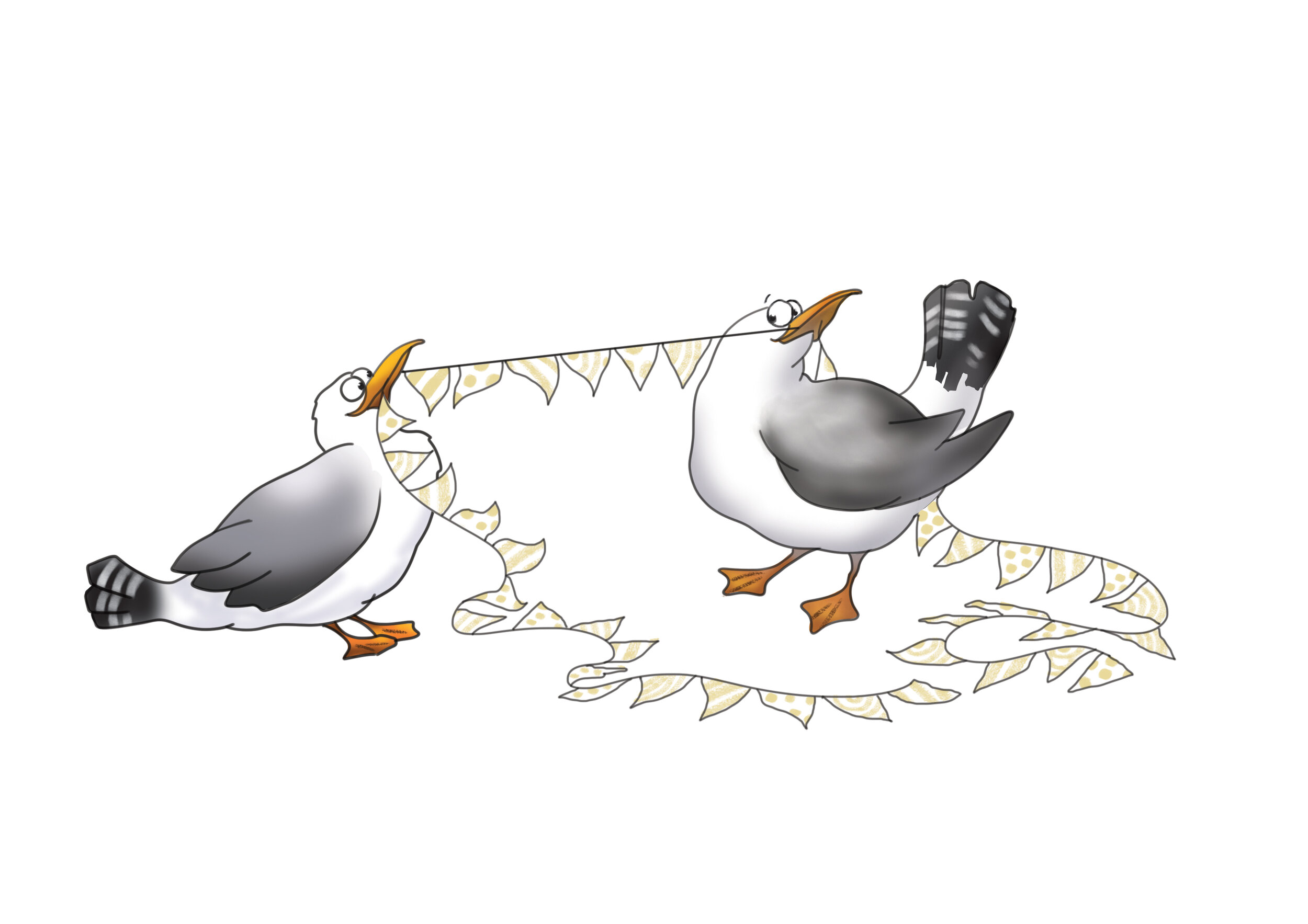 Gulls-fighting-over-bunting.jpg