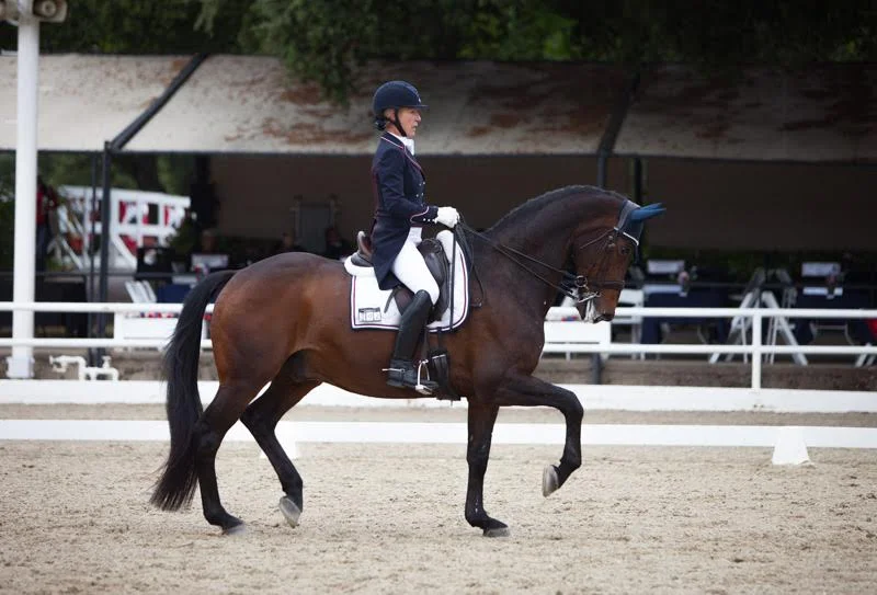 Marron- Grand Prix