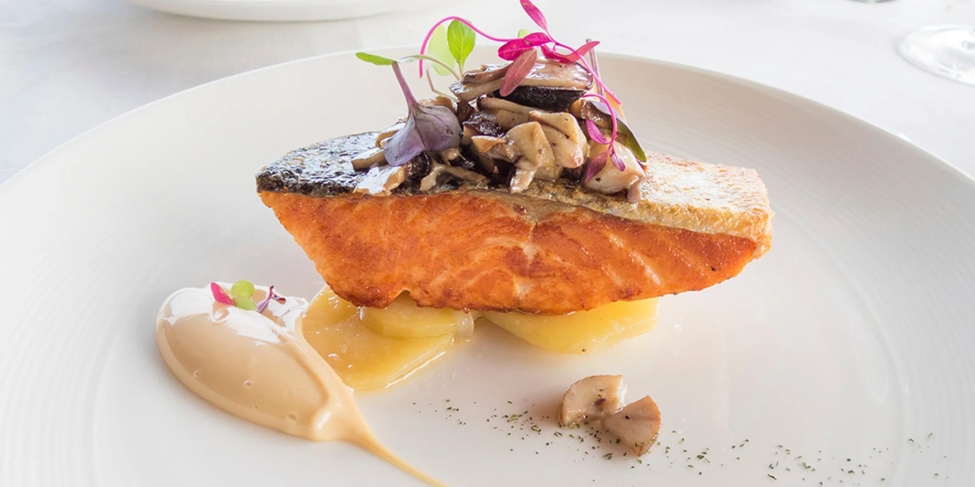 Elegantly plated salmon fillet dish