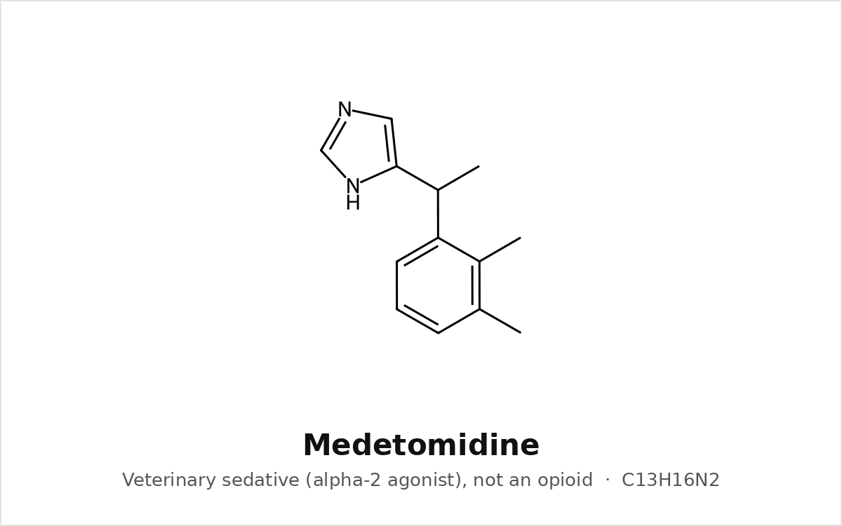Chemical structure diagram of medetomidine, a veterinary sedative
