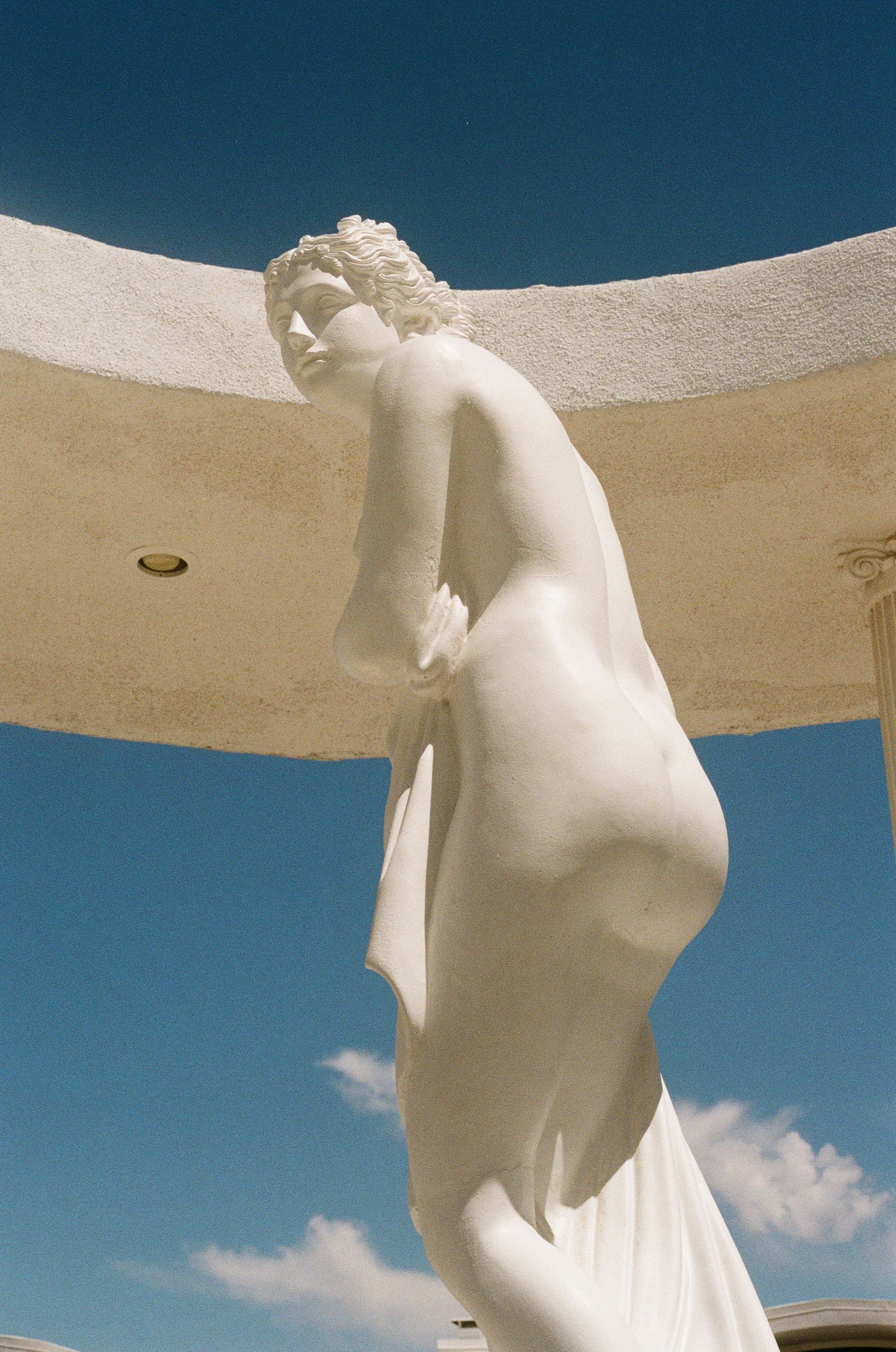 Scan175387.jpeg