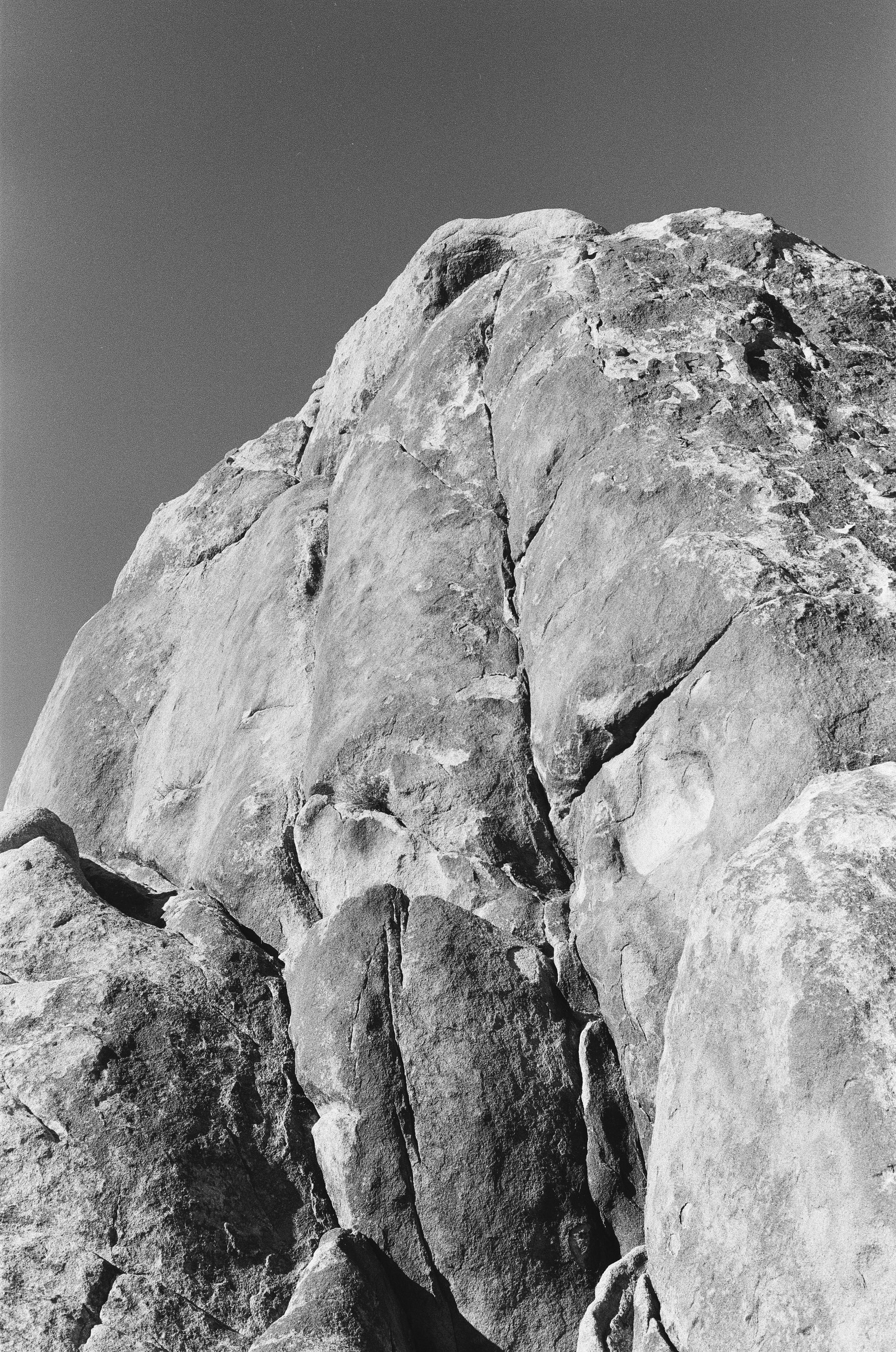 Scan169883.jpeg
