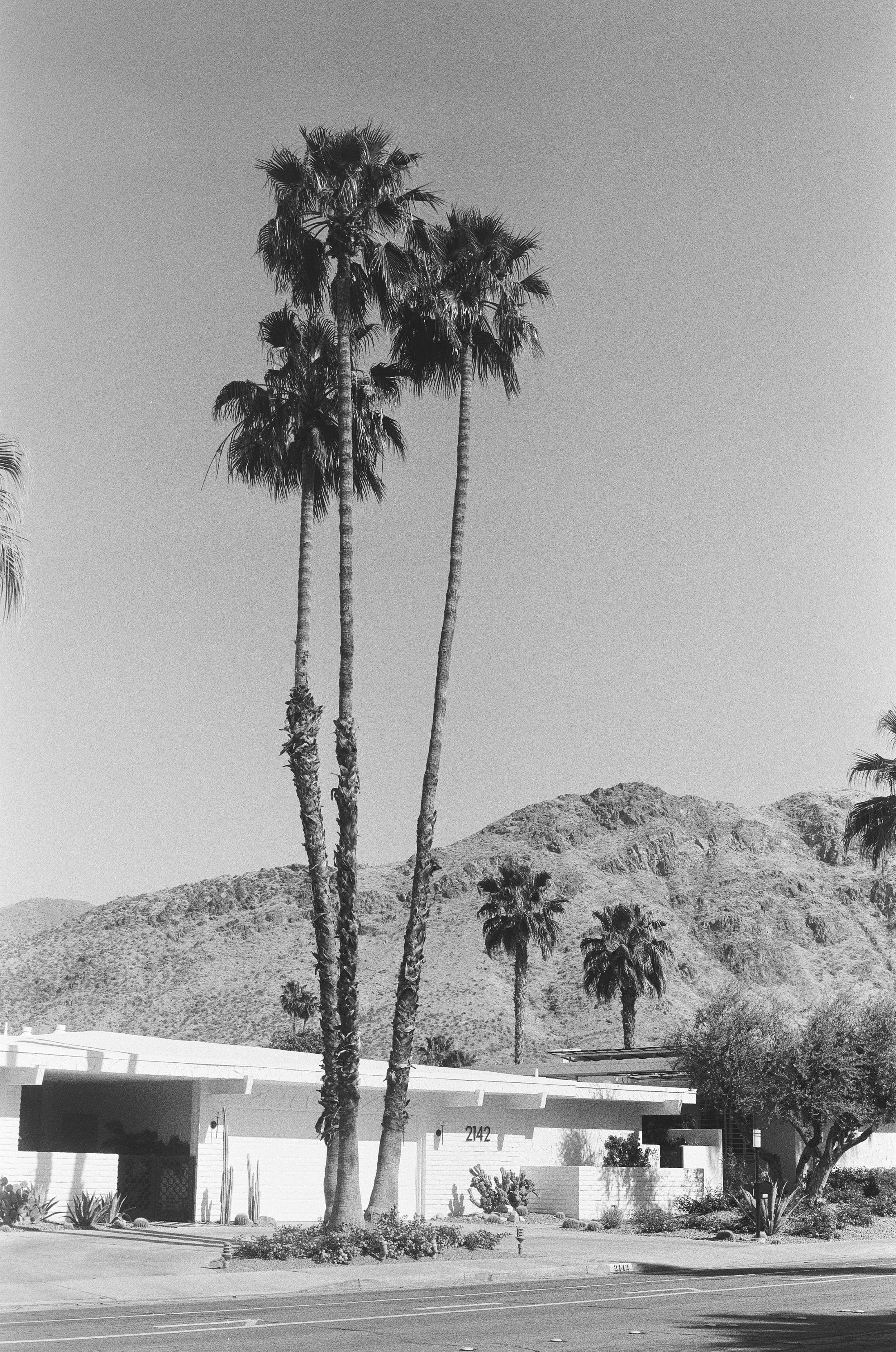 Scan175292.jpeg