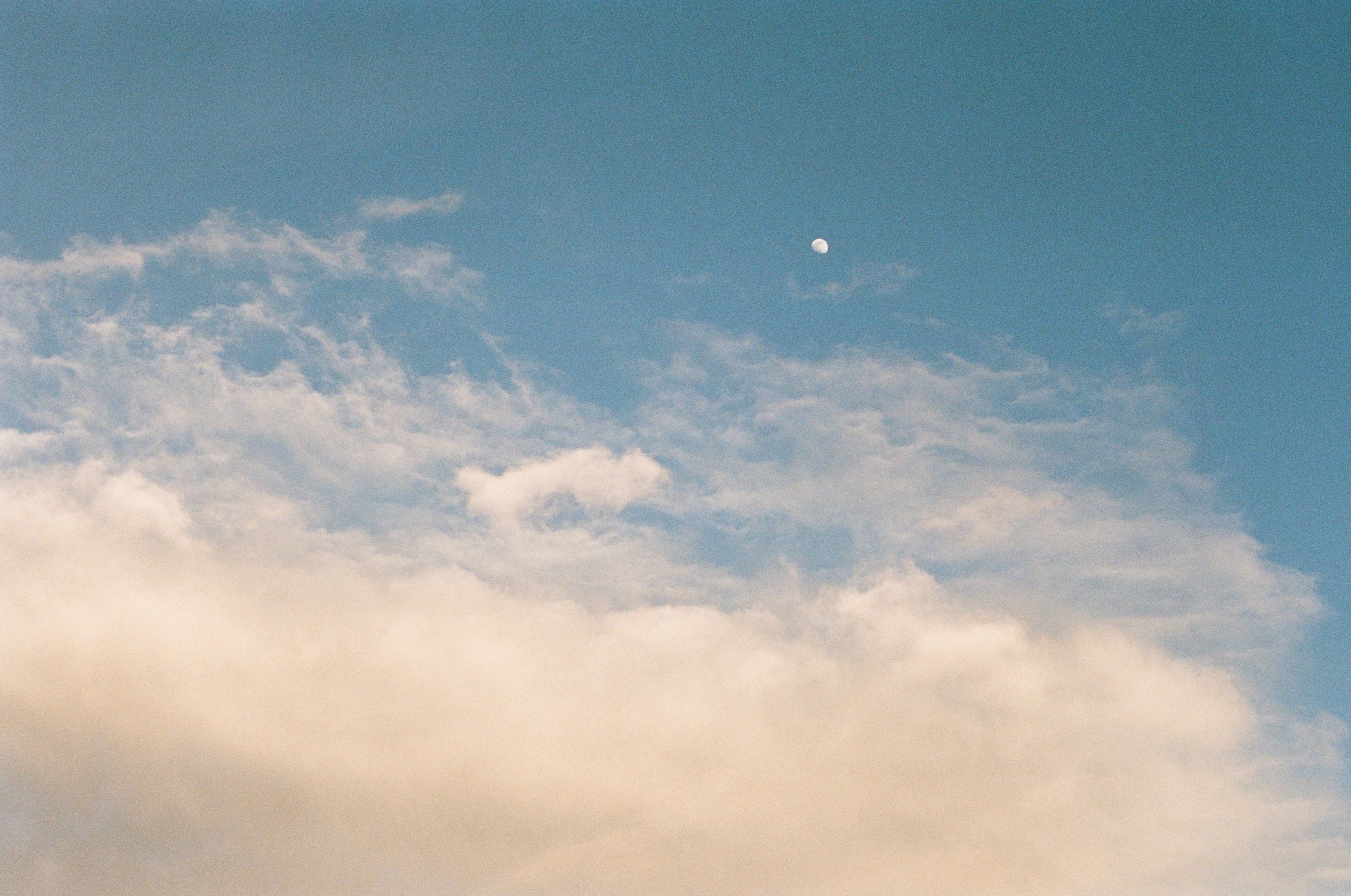 Scan9220.jpeg