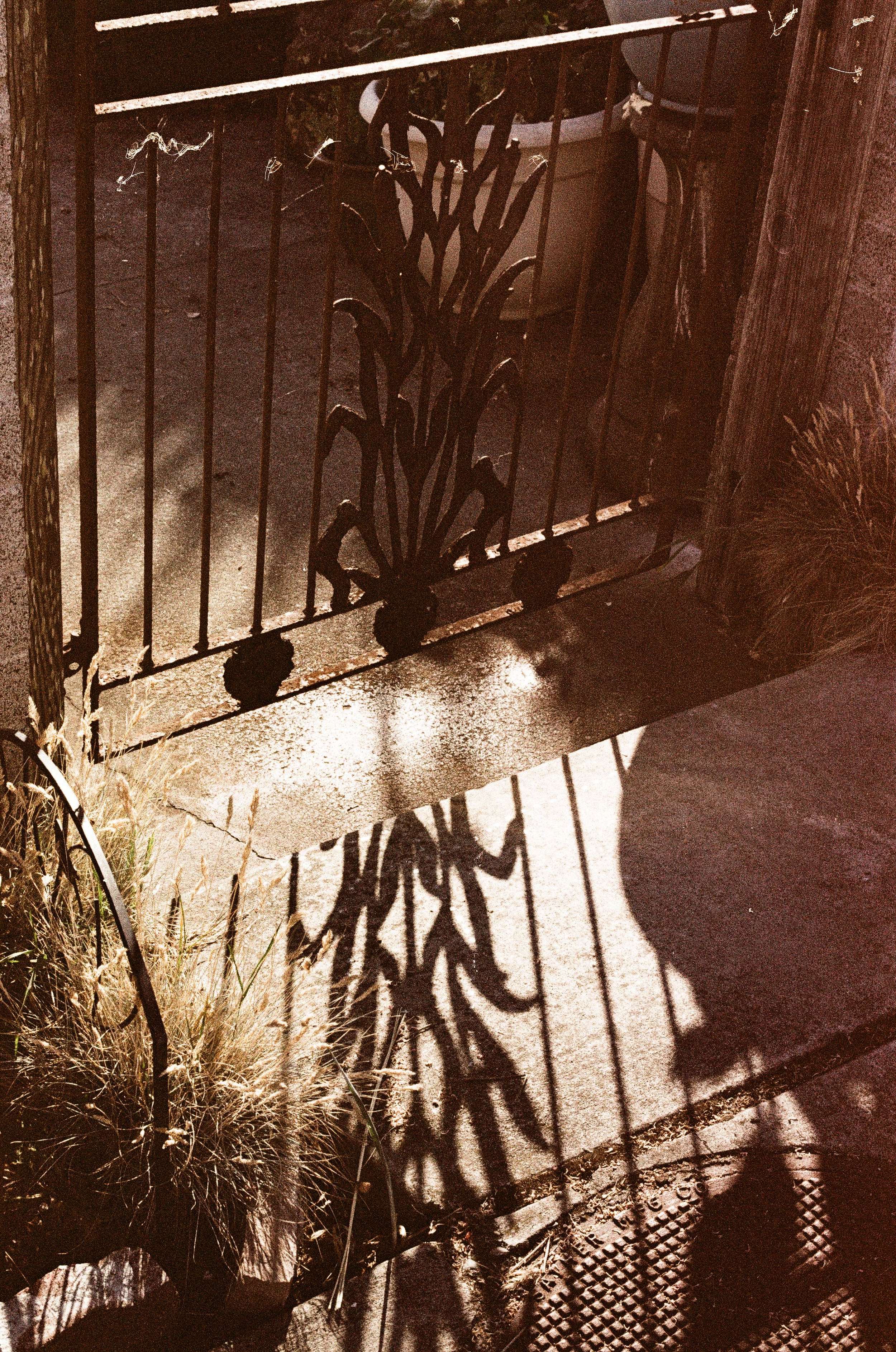 Scan36101.jpeg