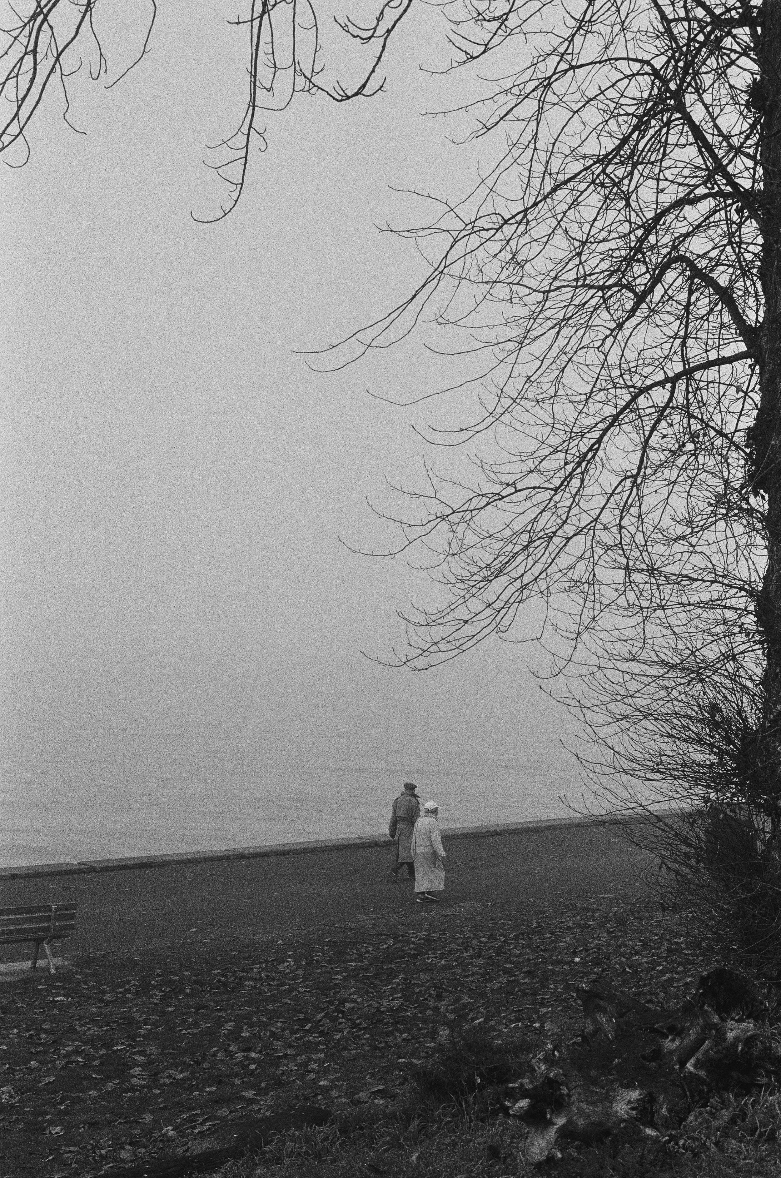 Scan122479.jpeg