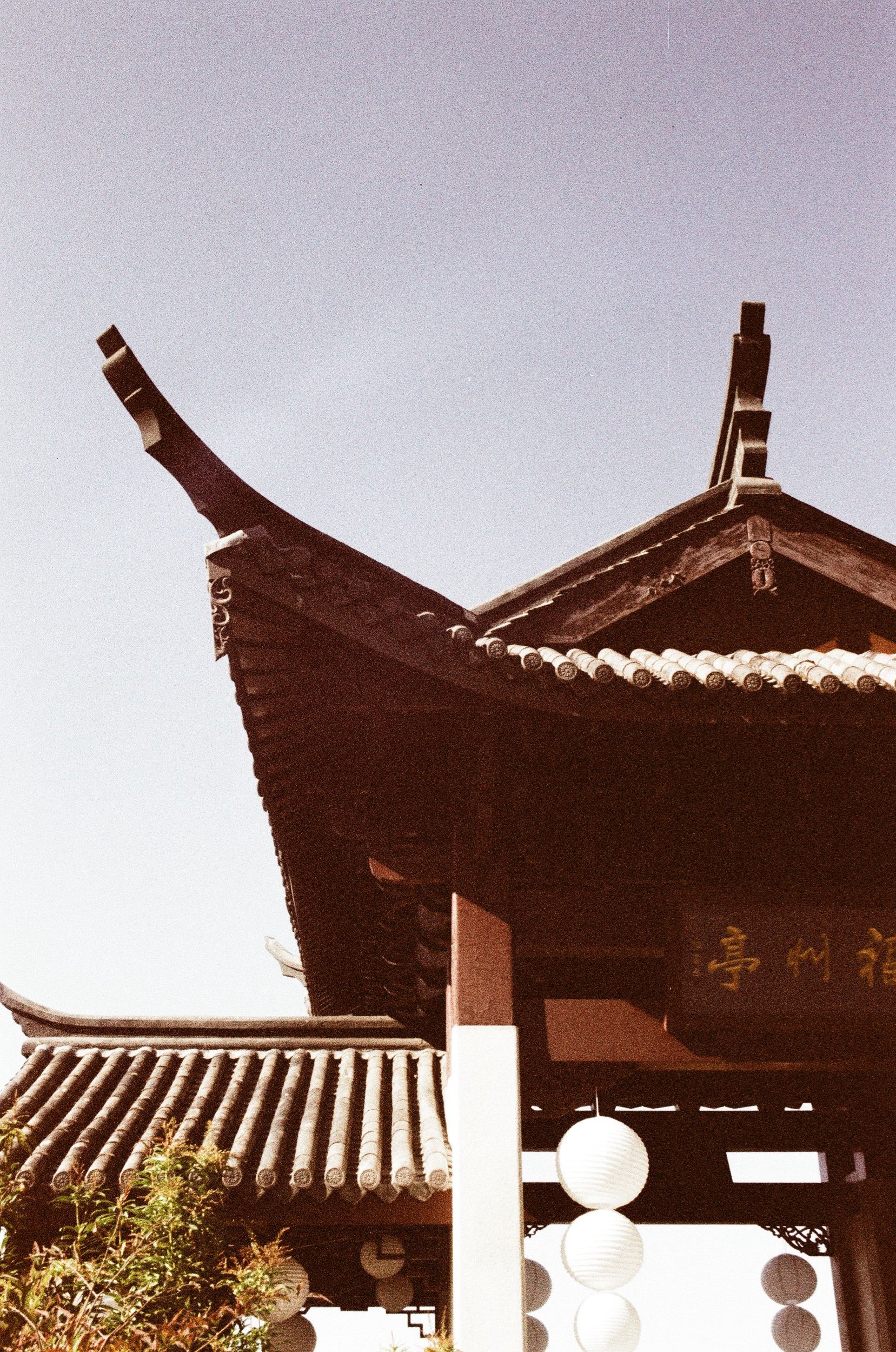 Scan88015.jpeg