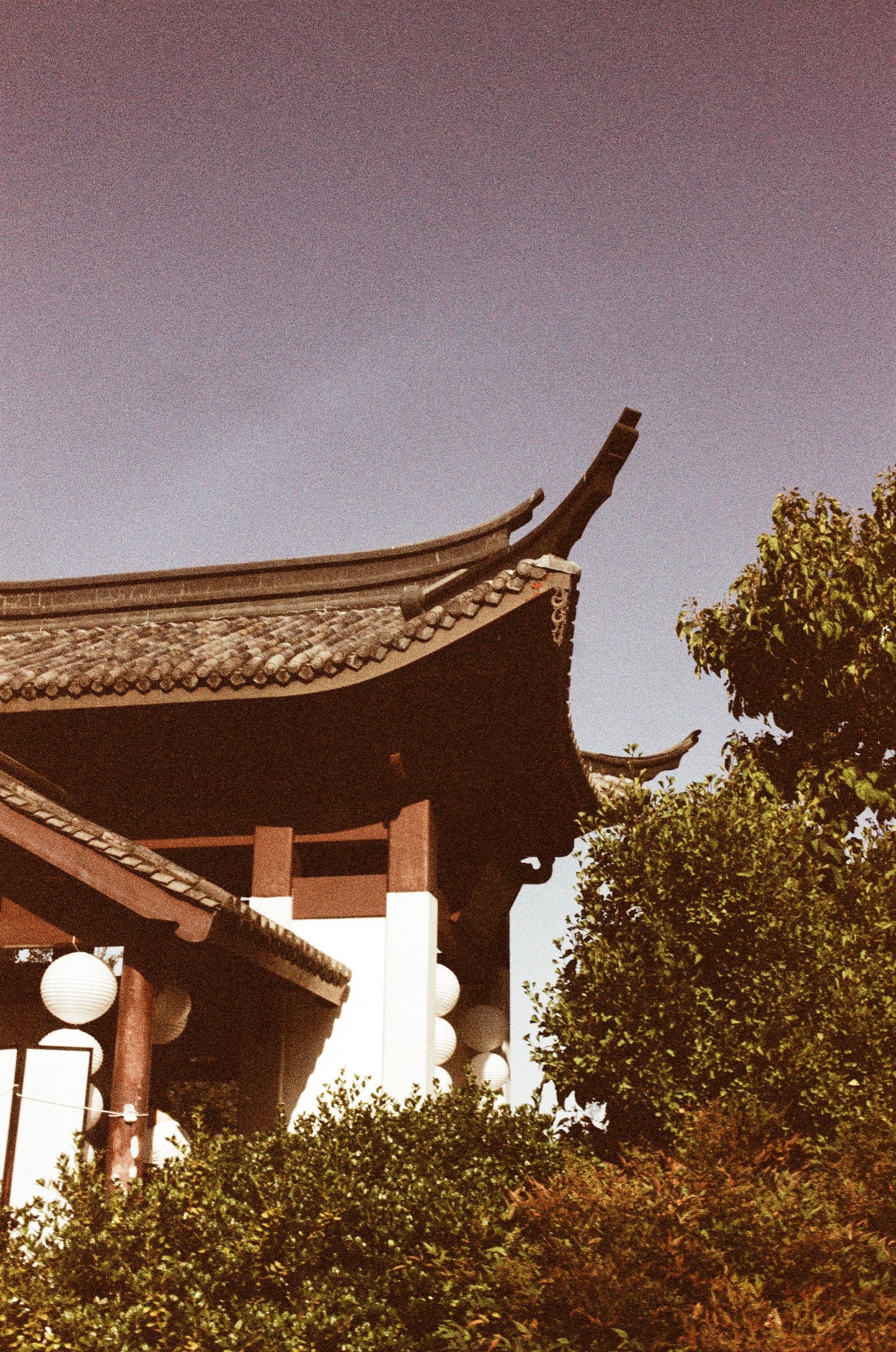 Scan88012.jpeg