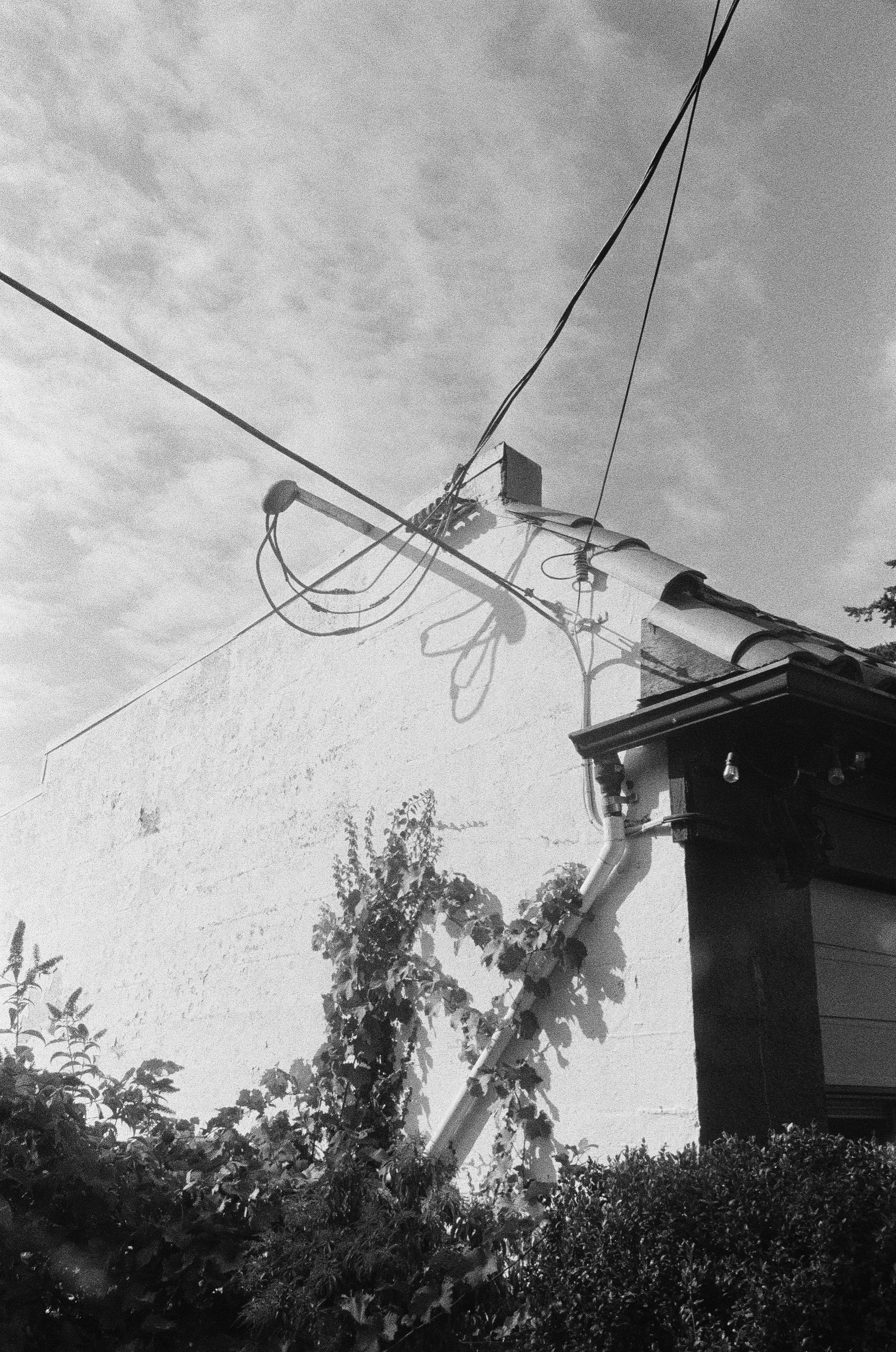 Scan53108.jpeg