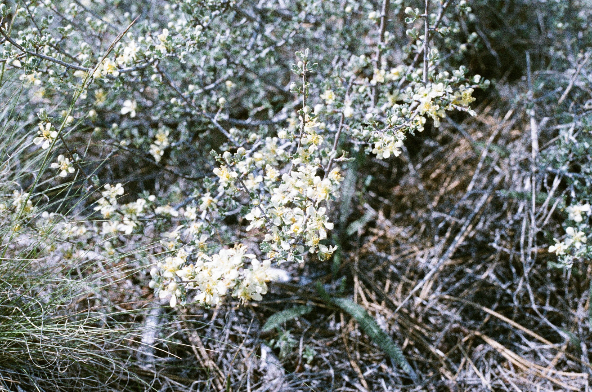 Scan211152.jpeg