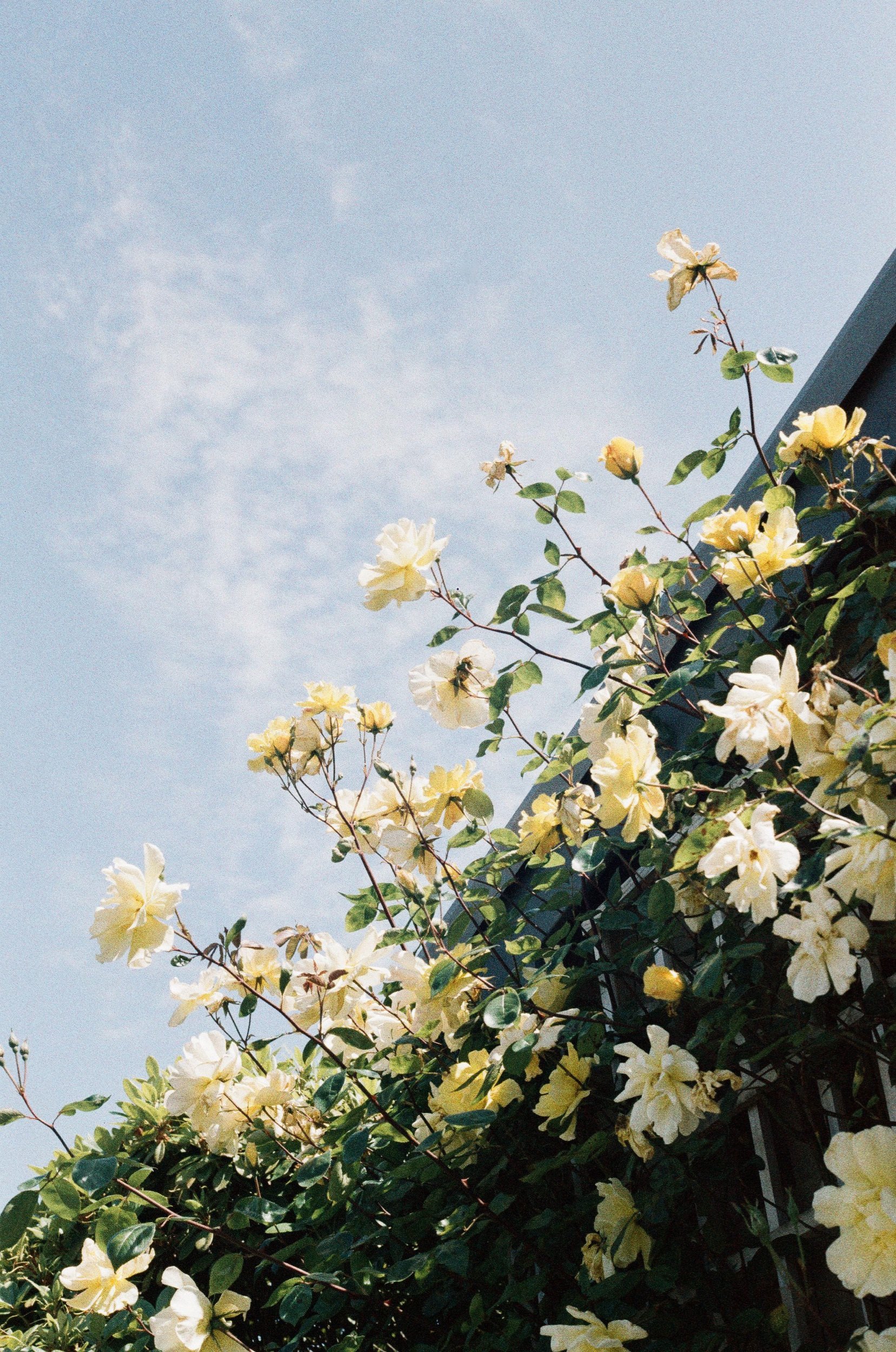 9AEDDECC-BECA-4D85-A539-4641F80584E5.jpeg