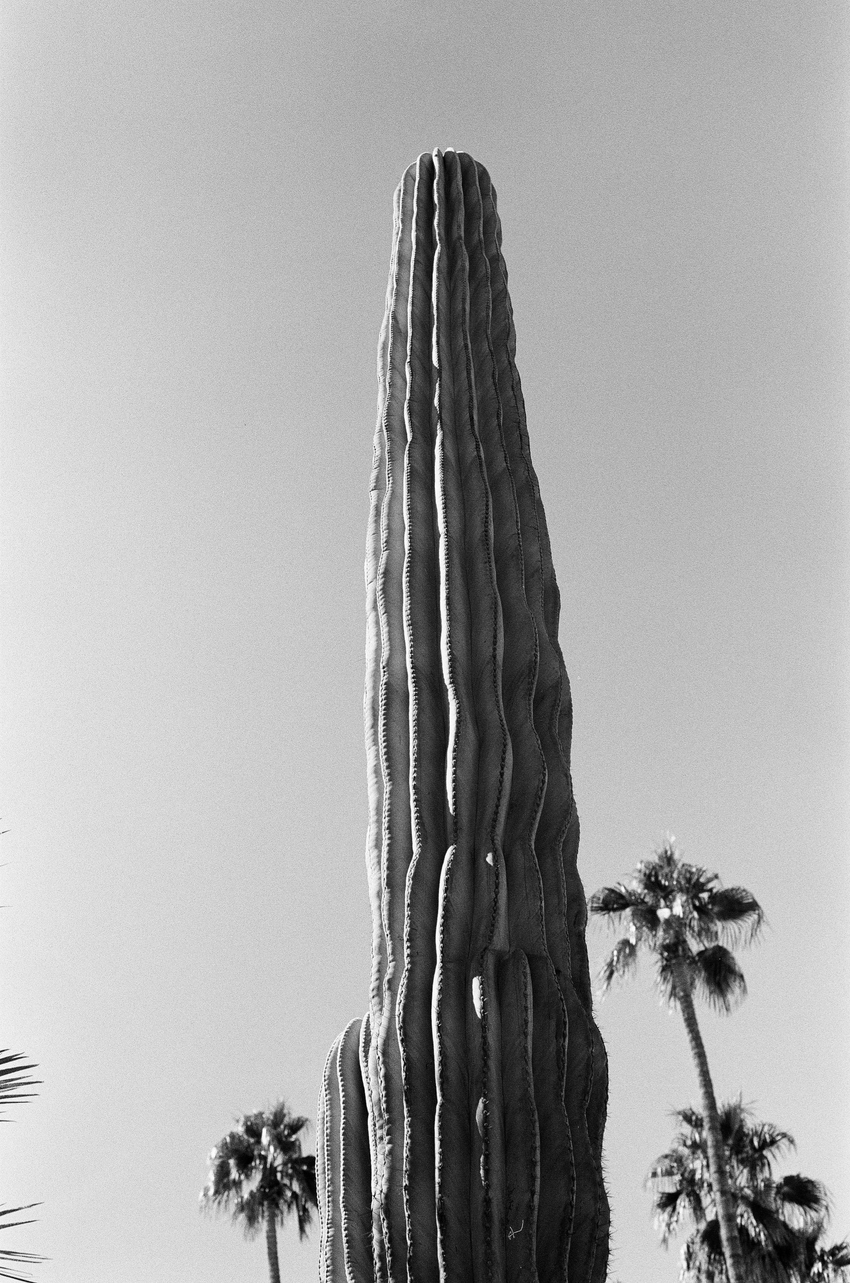 Scan3947.jpeg