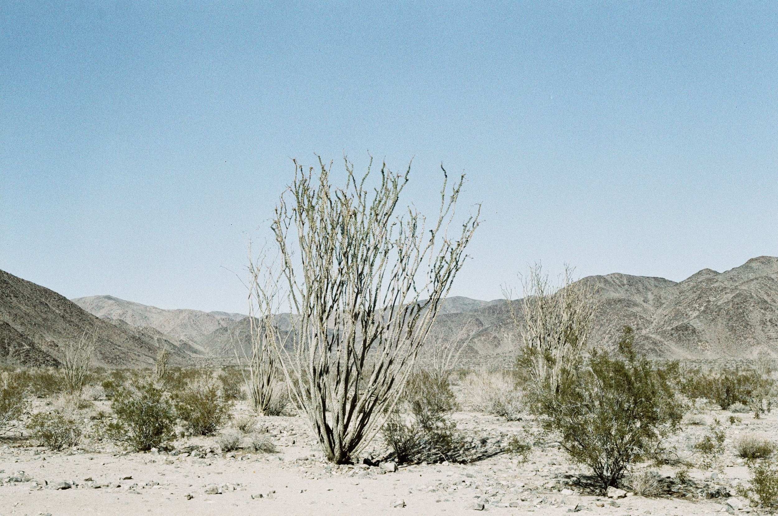 Scan2391.jpeg