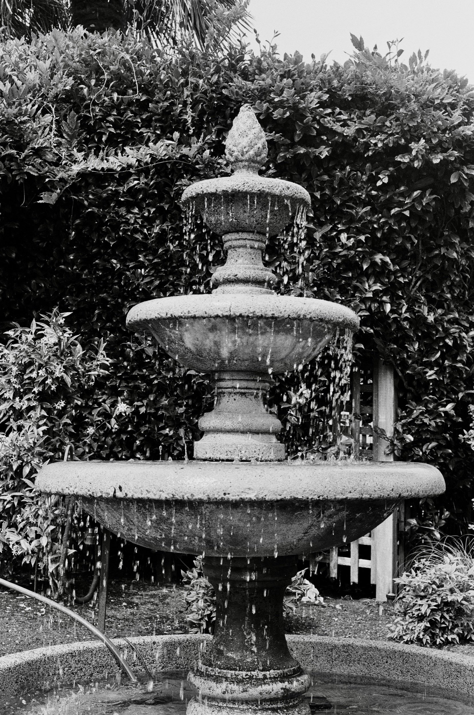 Scan6055.jpeg
