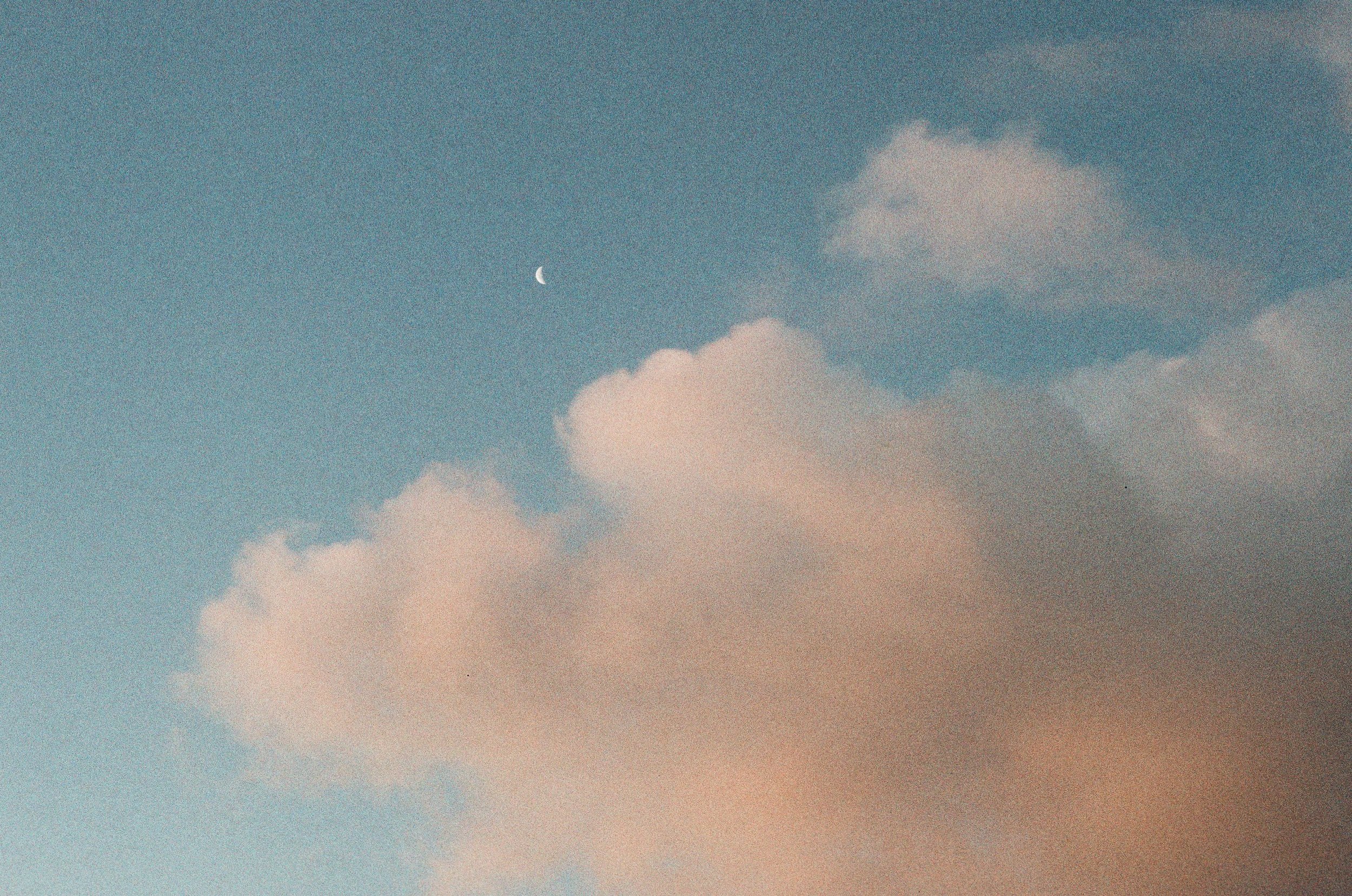 IMG_2482.jpeg