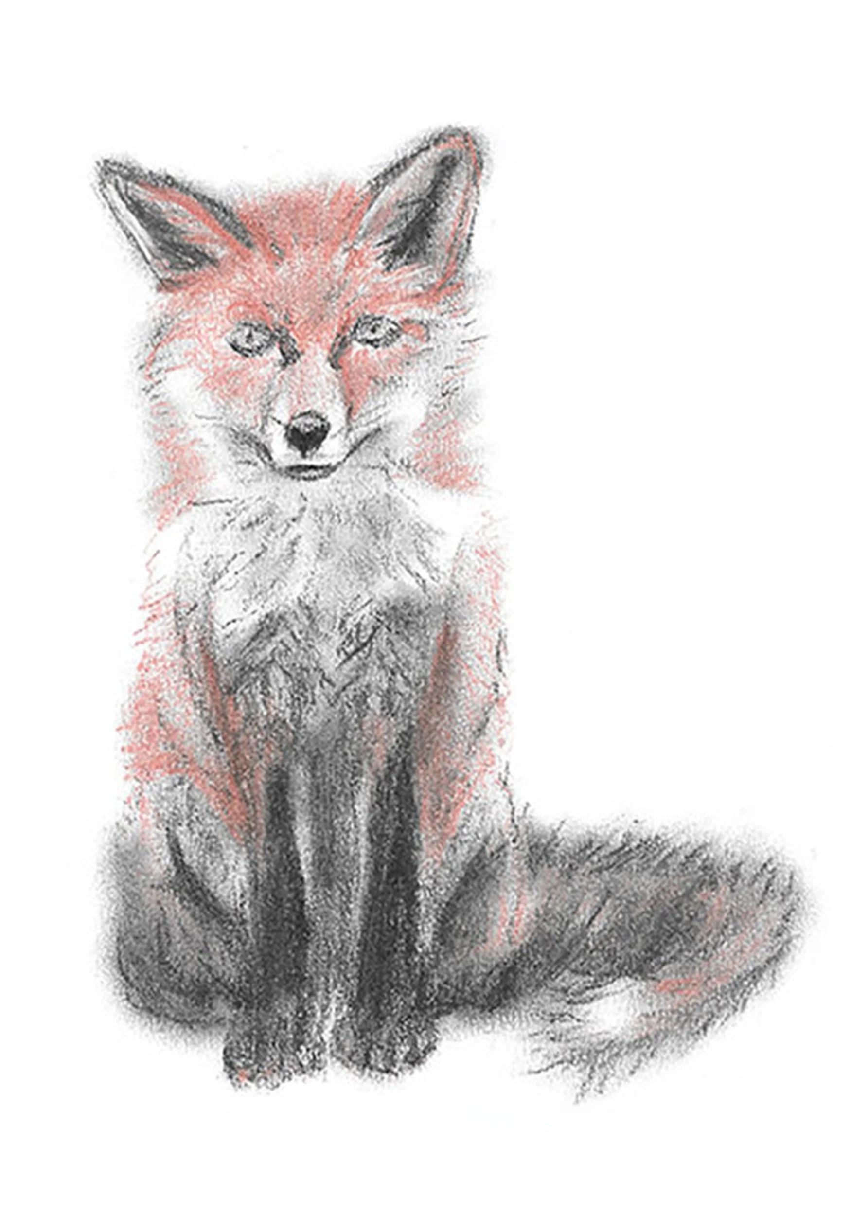 Are you cussing with me?