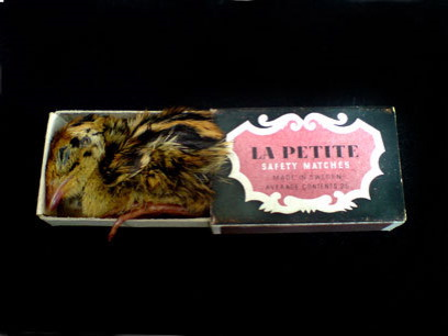 lapettite.png