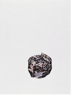 Turk, Gavin 'It's in the bag'.png