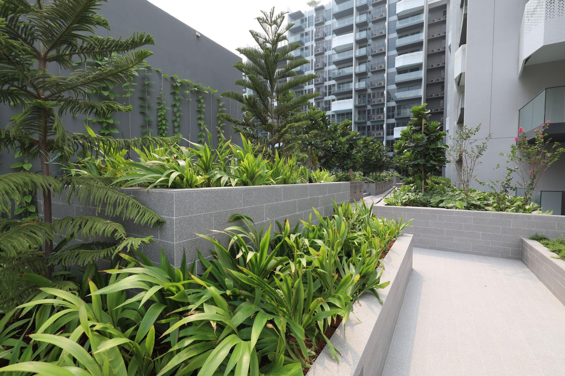 The Alps Residences_3.jpeg