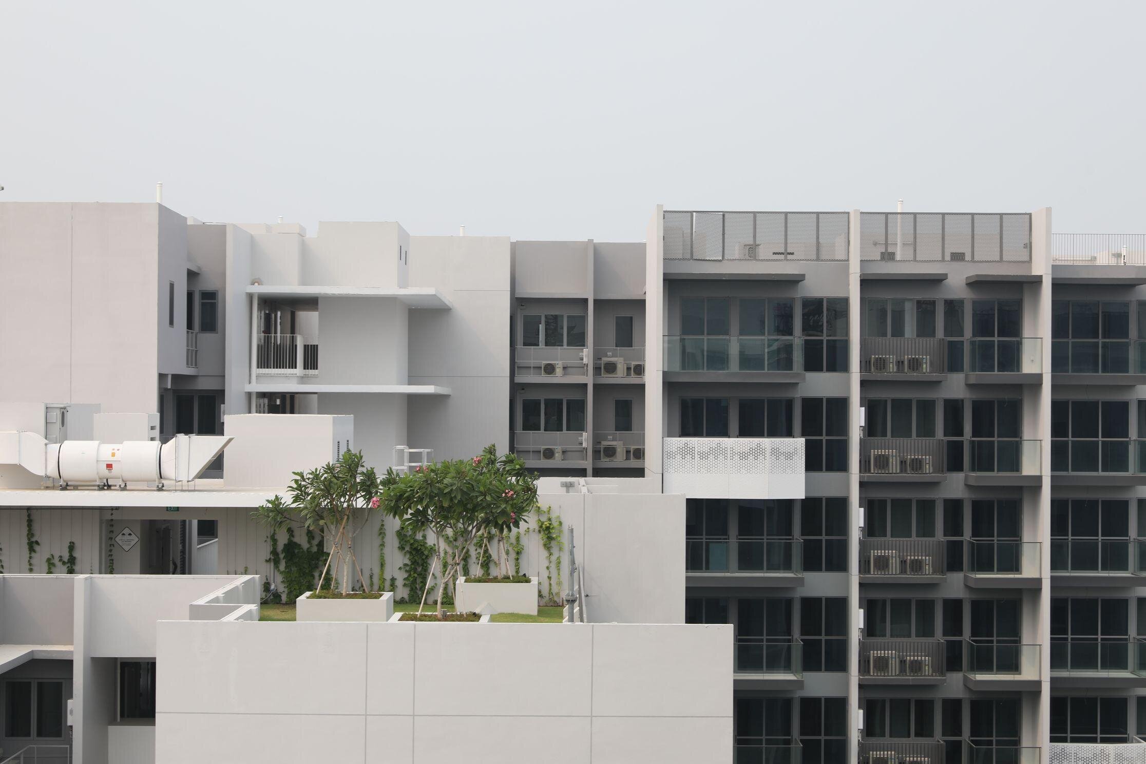 The Alps Residences_9_Roof Terrace.jpeg