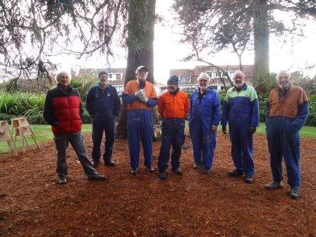 Full July 2018 Sheddie