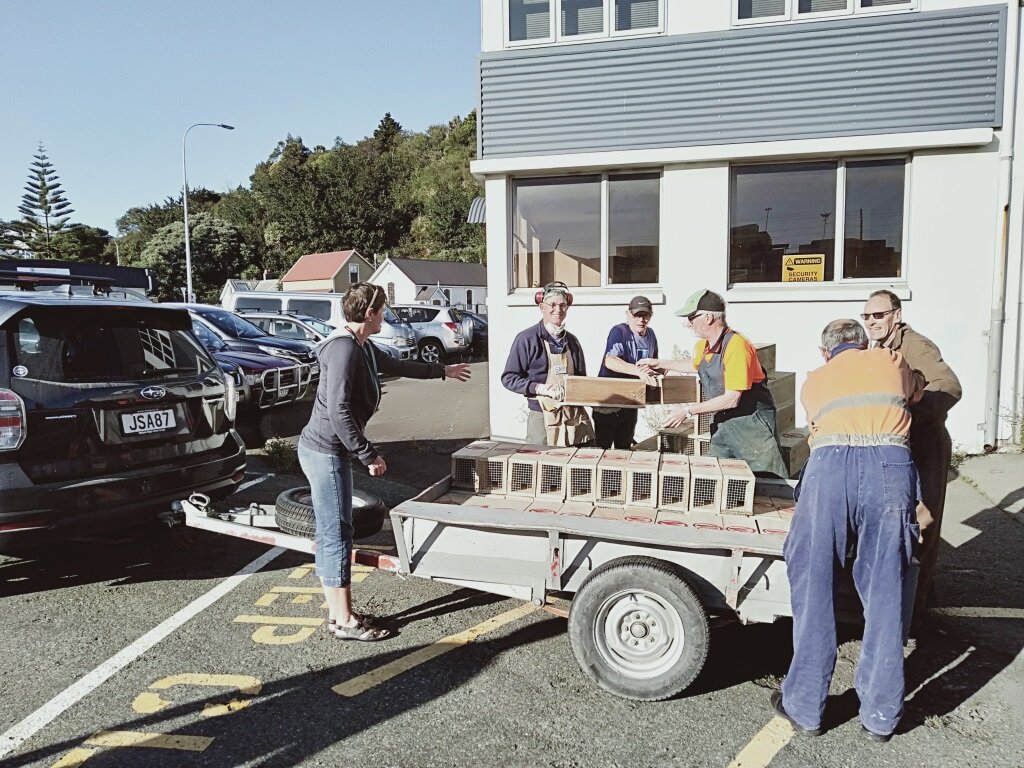 Marsden Valley traps loaded (Copy)