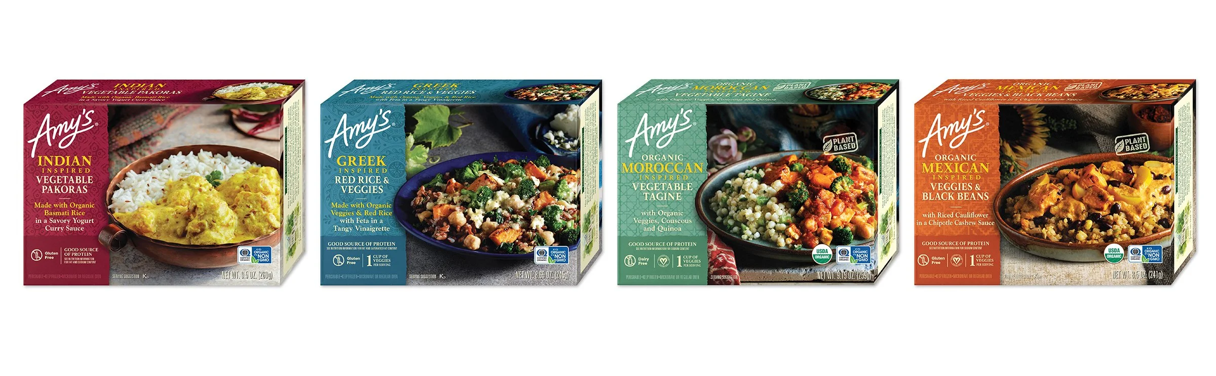 globally inpired lineup.jpg