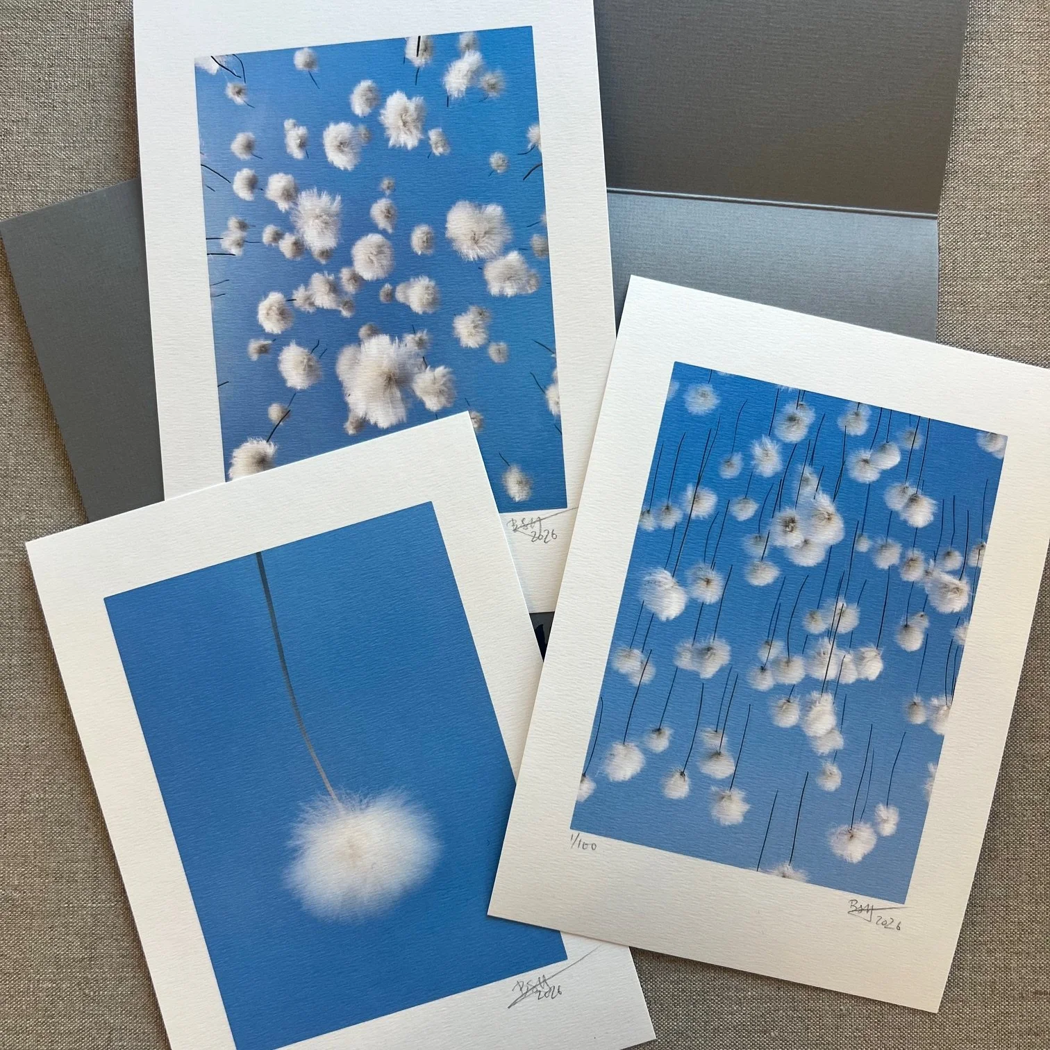 IMG_3764.jpeg (Copy) (Copy)