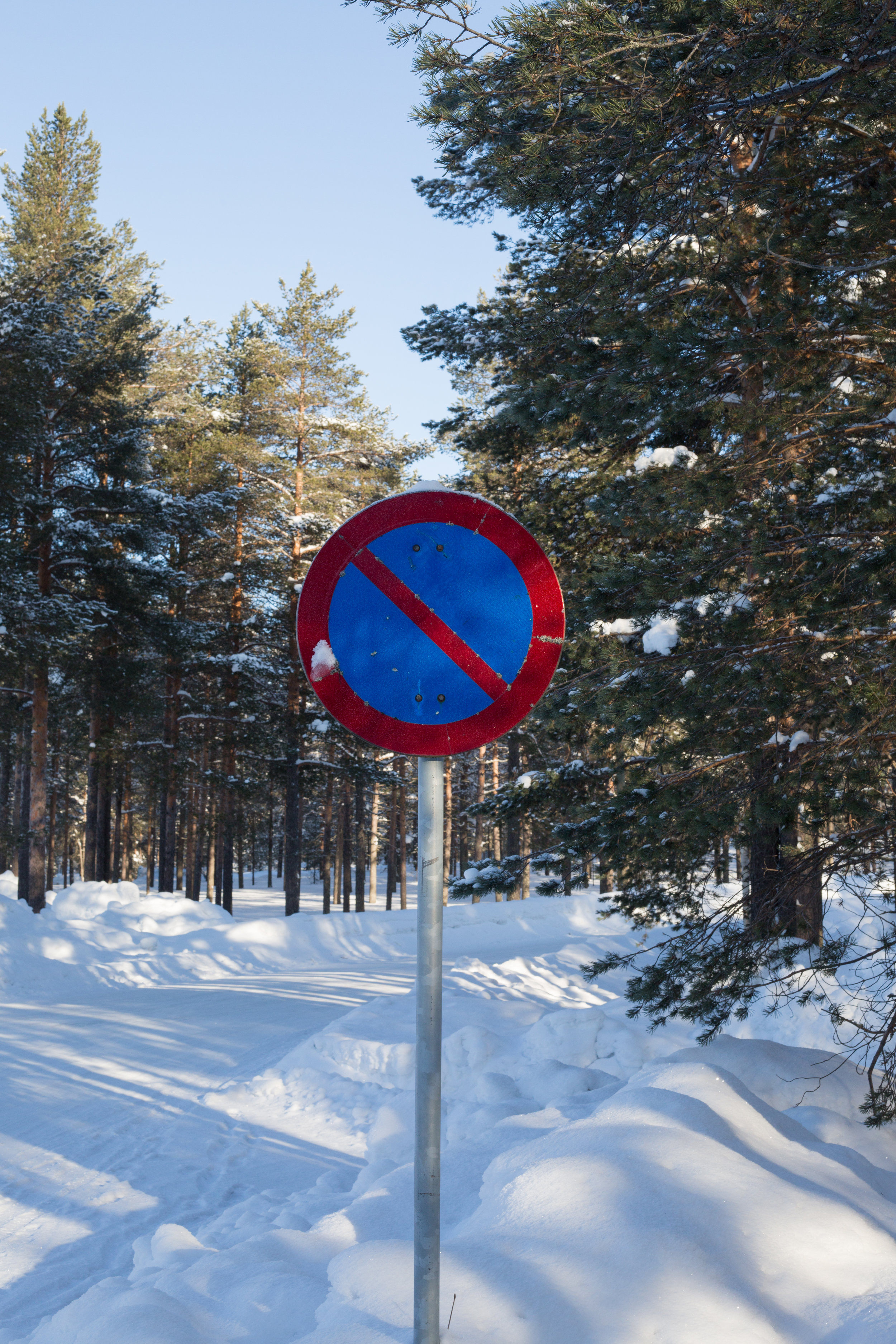 Signs (8 of 11).jpg